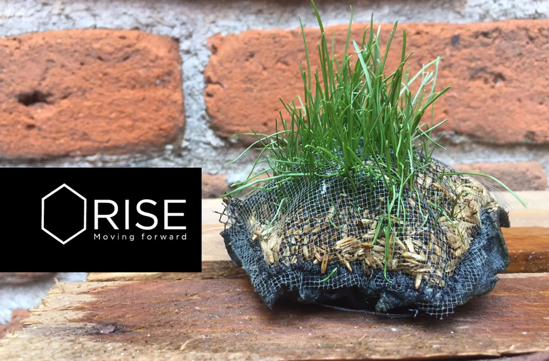 Desarrollo de tapete inteligente.