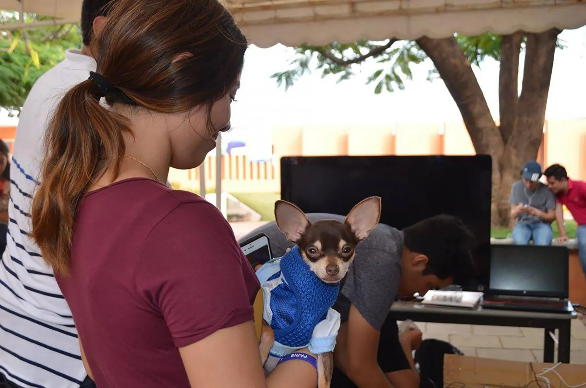 Alumna en la Semana de Tópico presenta su proyecto de casa para mascotas
