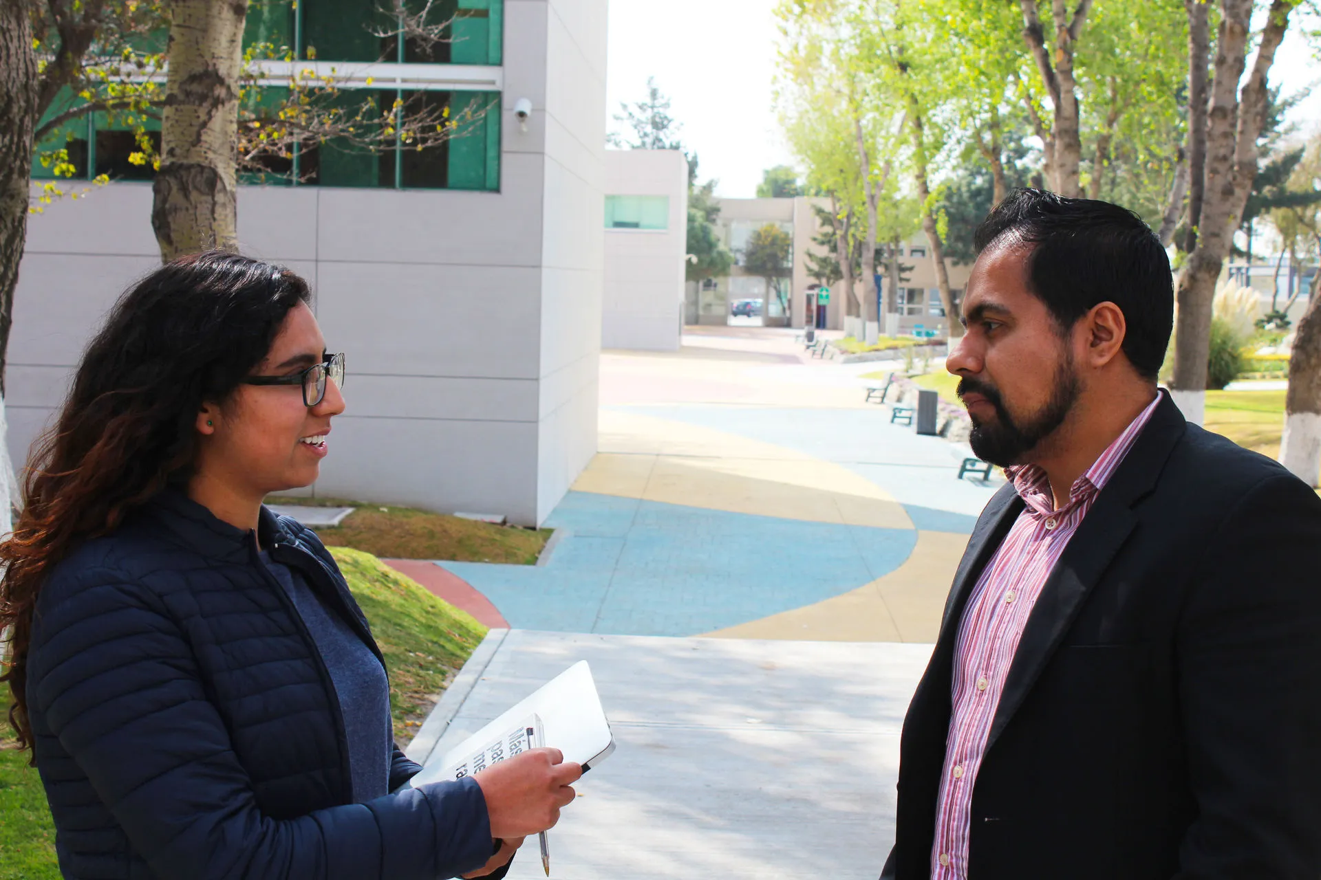 Profesor investigador