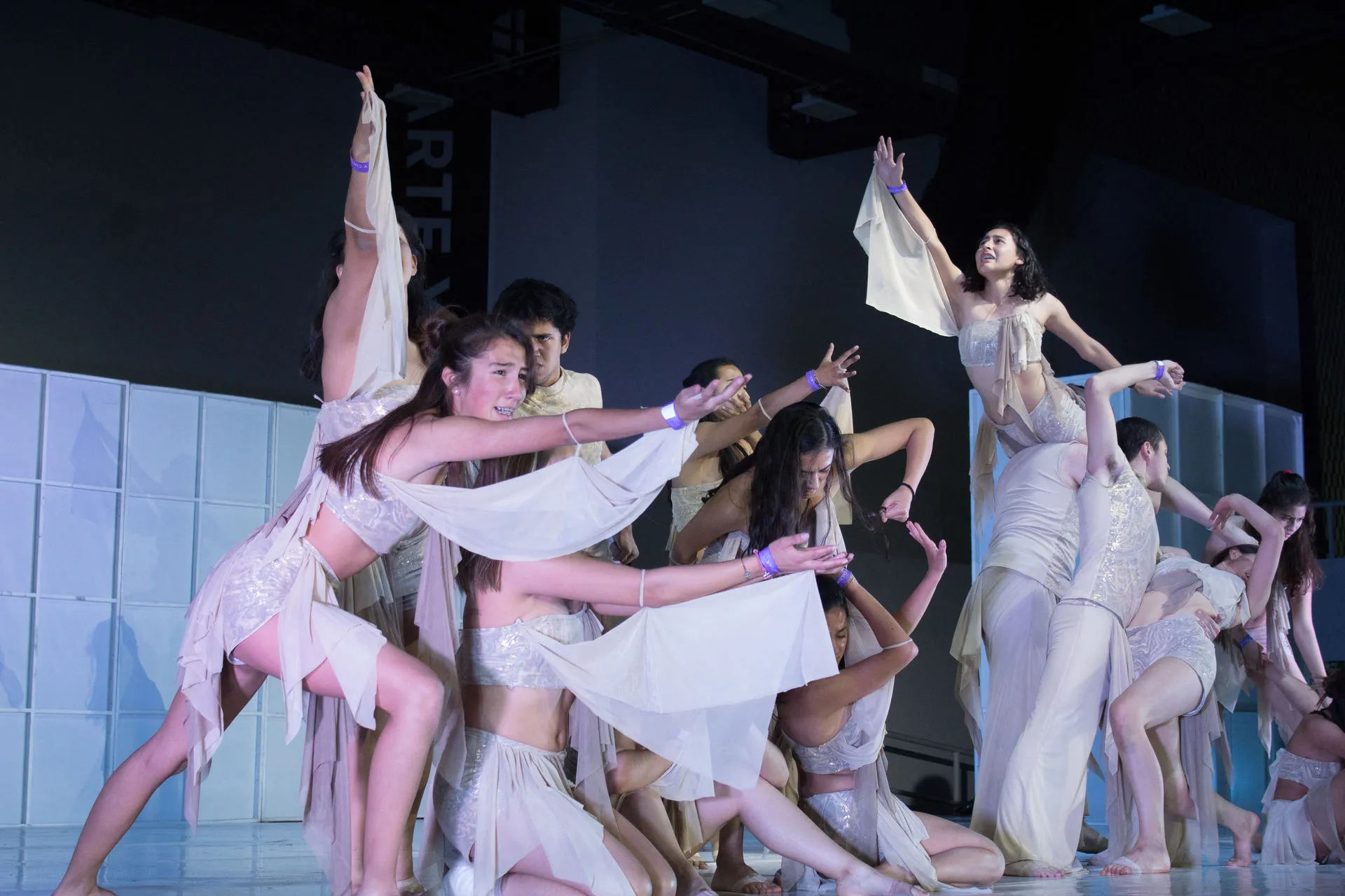 Festival de la cultura y las artes. 