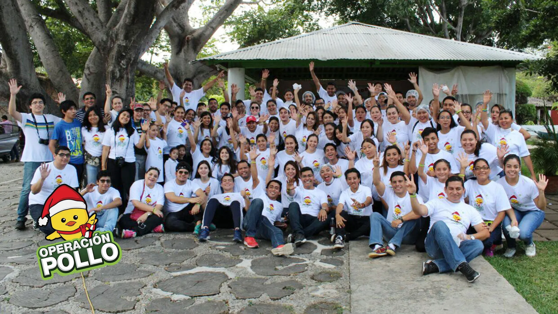 el equipo de voluntarios del 2017