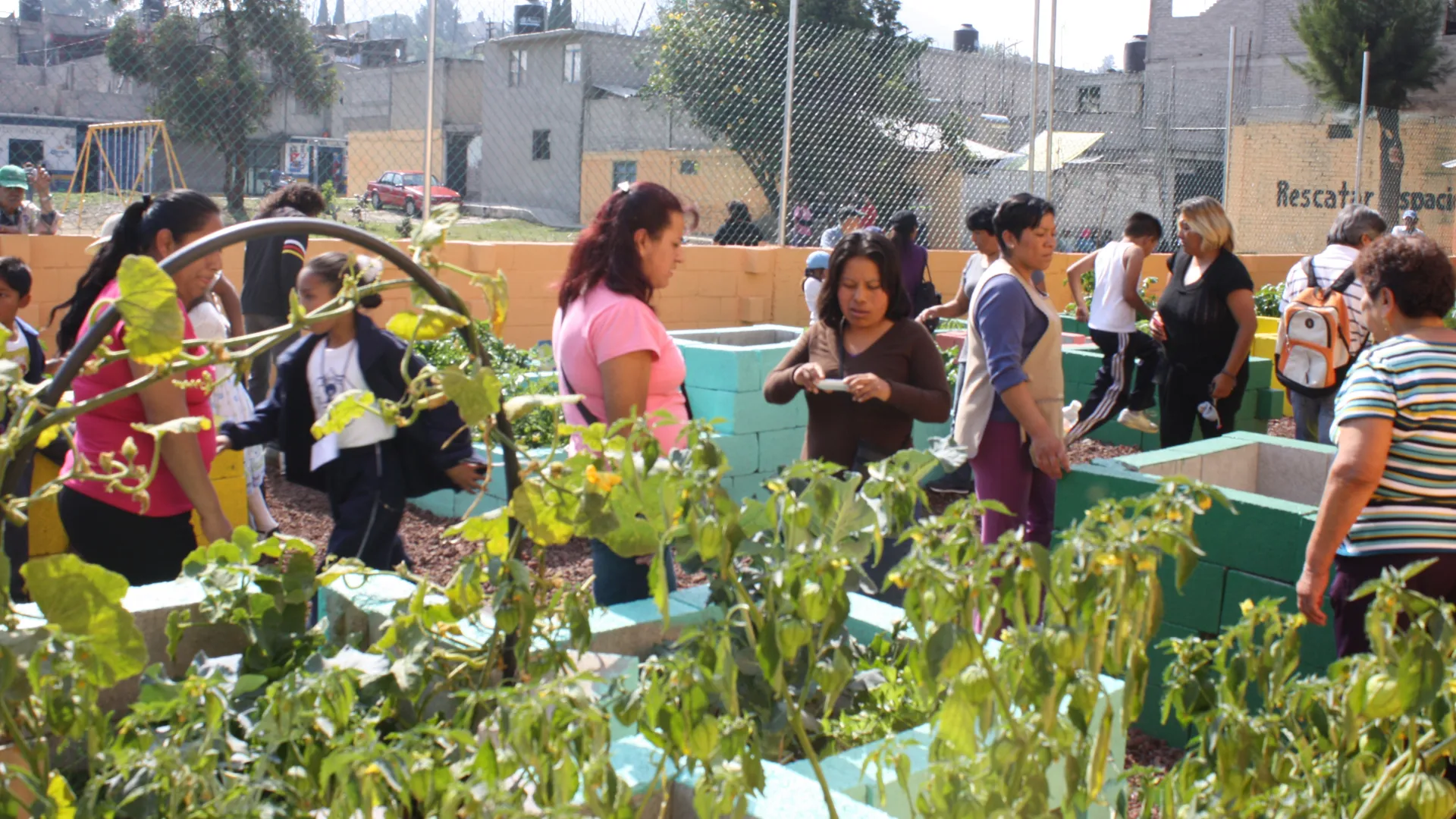 Premio CEMEX Tec 2018