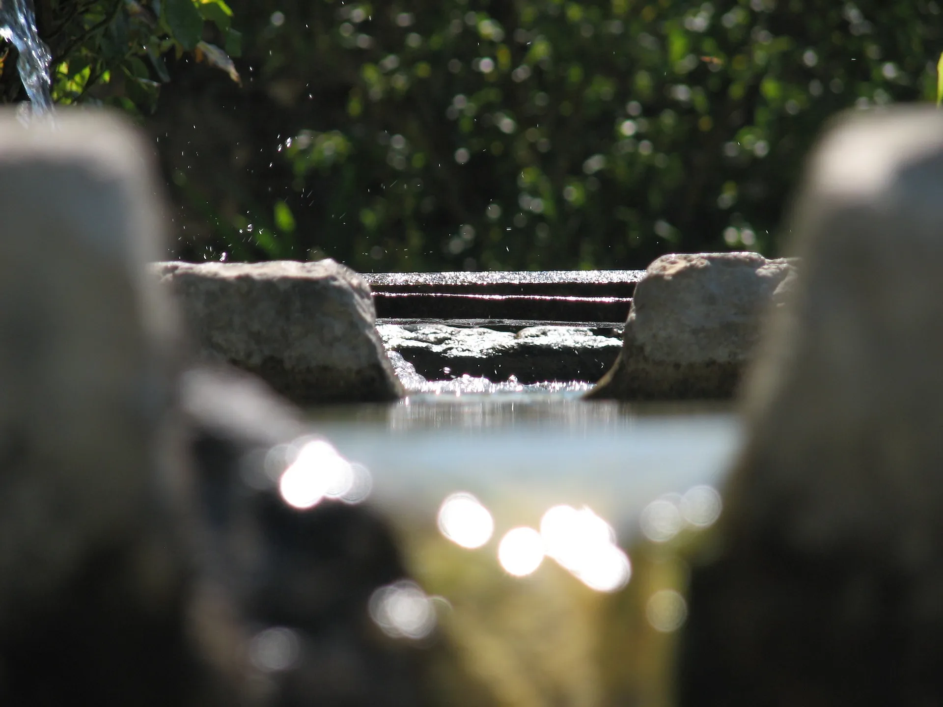 Cuidado del agua y sus cuencas