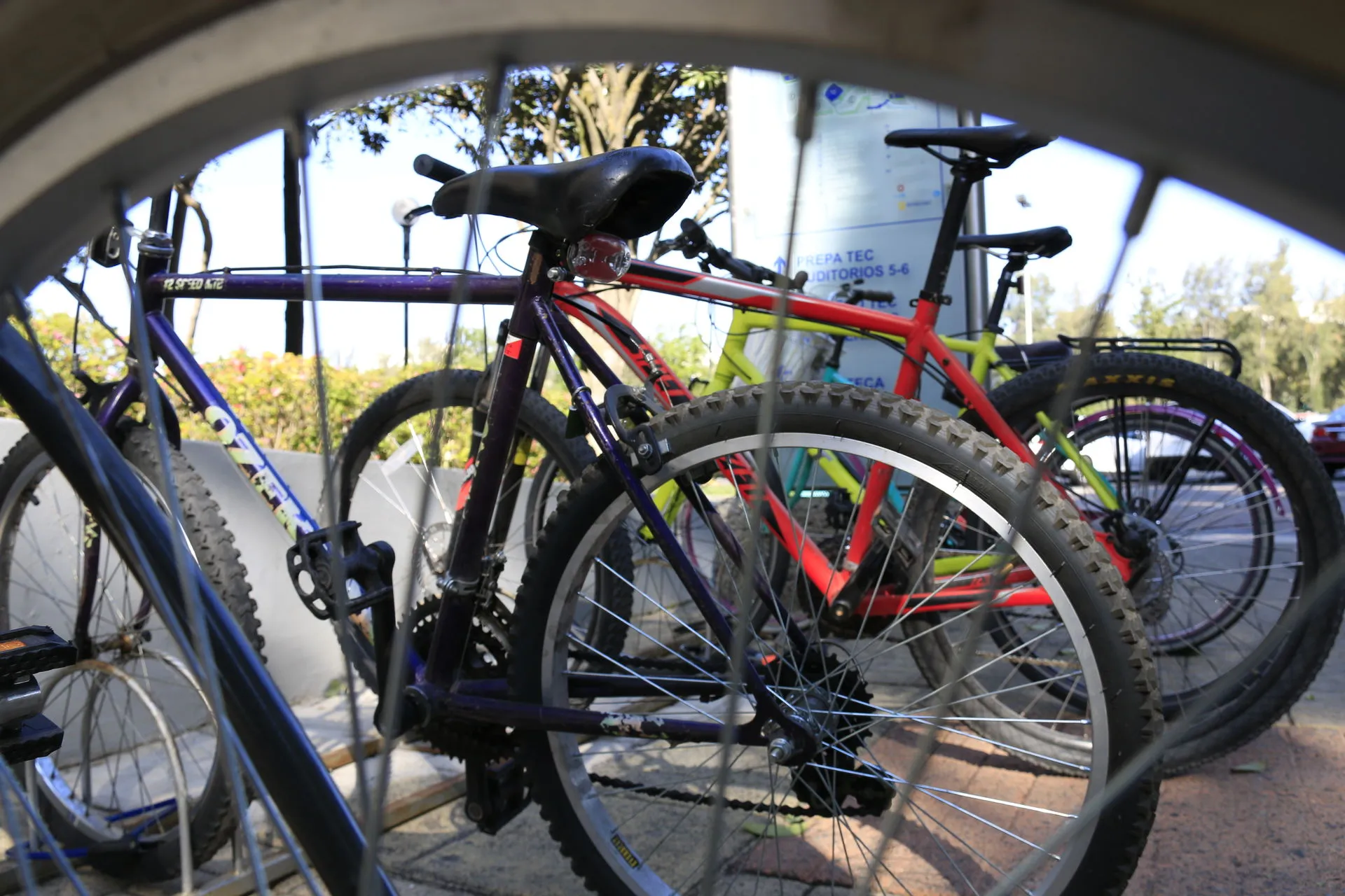 Biko: 80 días en bici.