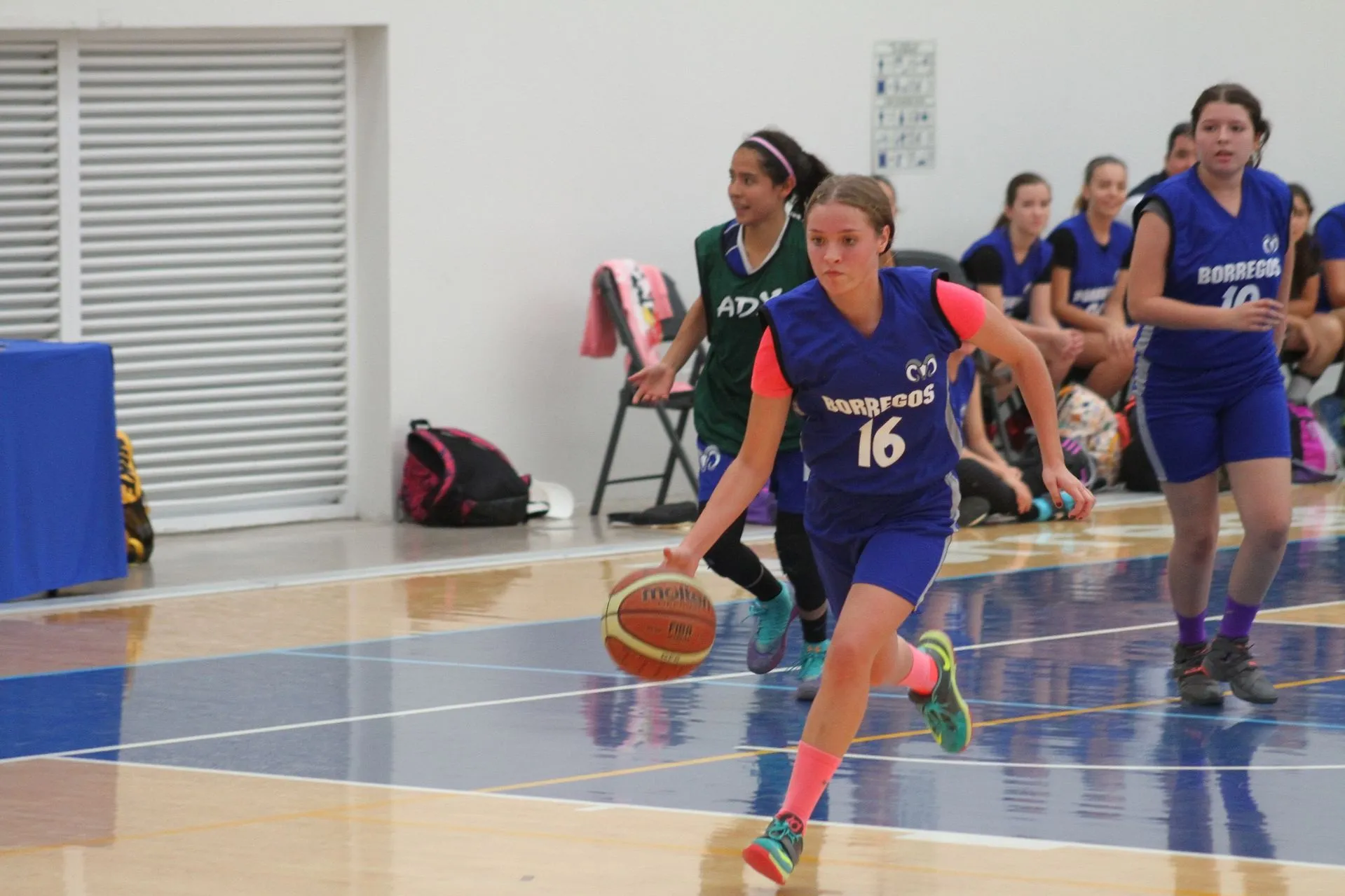 Campus Guadalajara será sede de la CONADEIP en basquetbol.