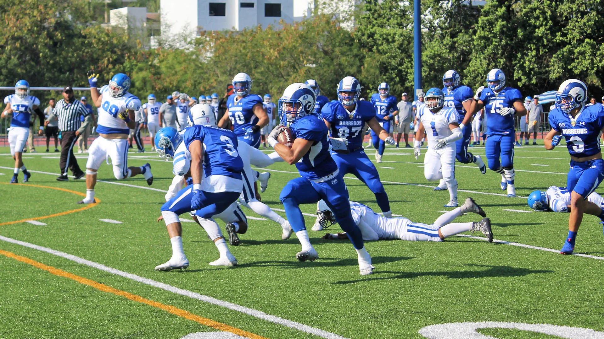 Borregos del Campus Monterrey son parte de la selección mexicana que competirá en China