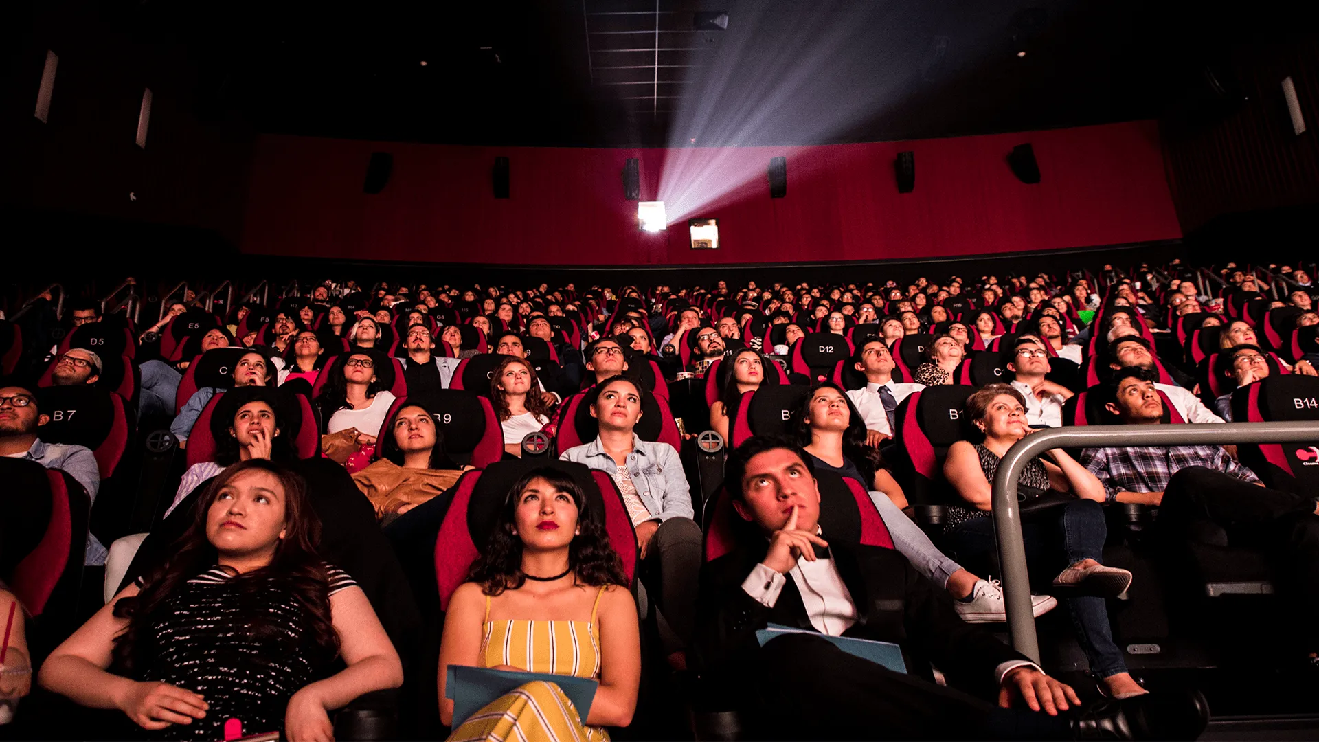 Cortos en la pantalla grande