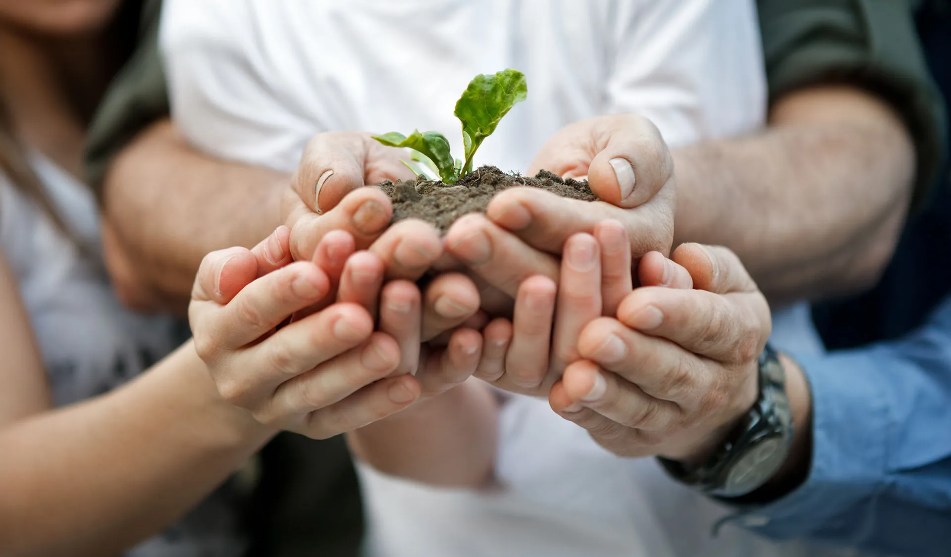 manos unidas cuidando la tierra