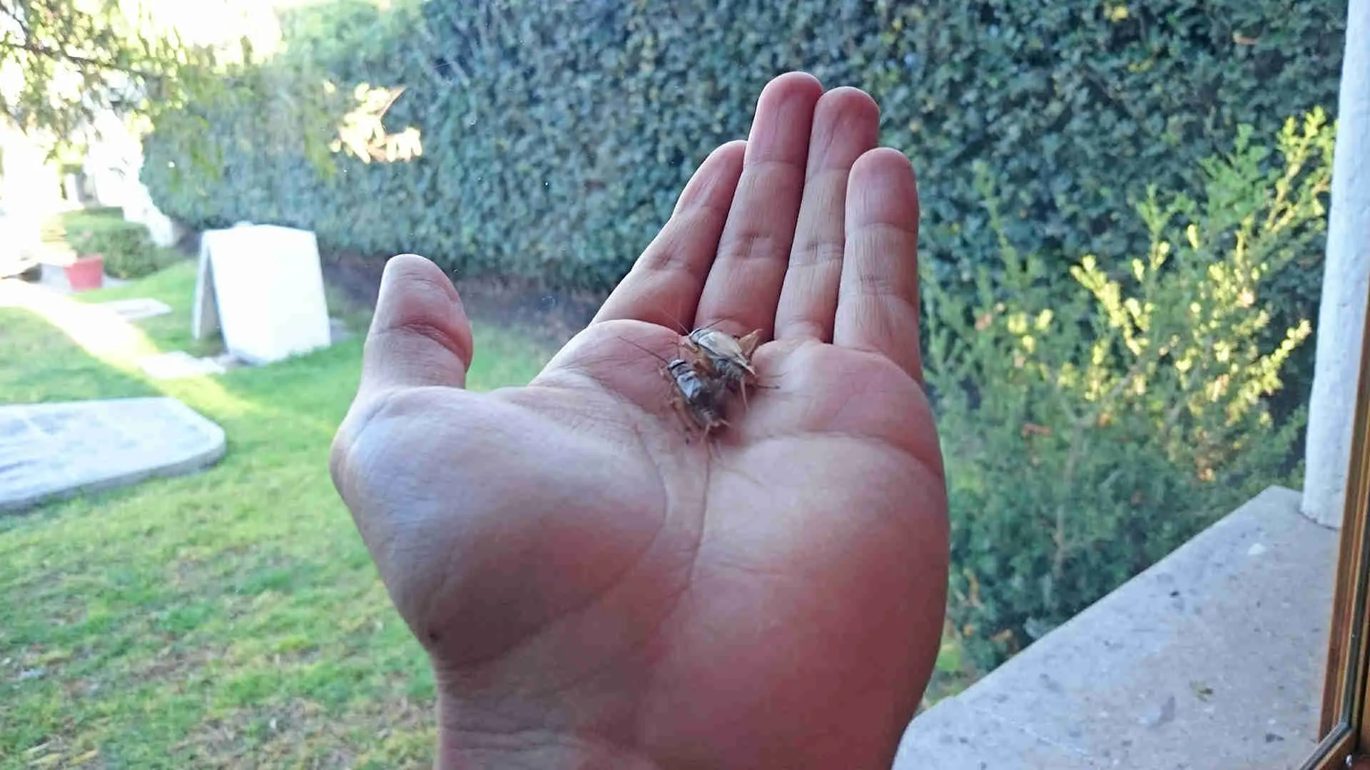 Emprendedores EXATEC destacan en concurso internacional