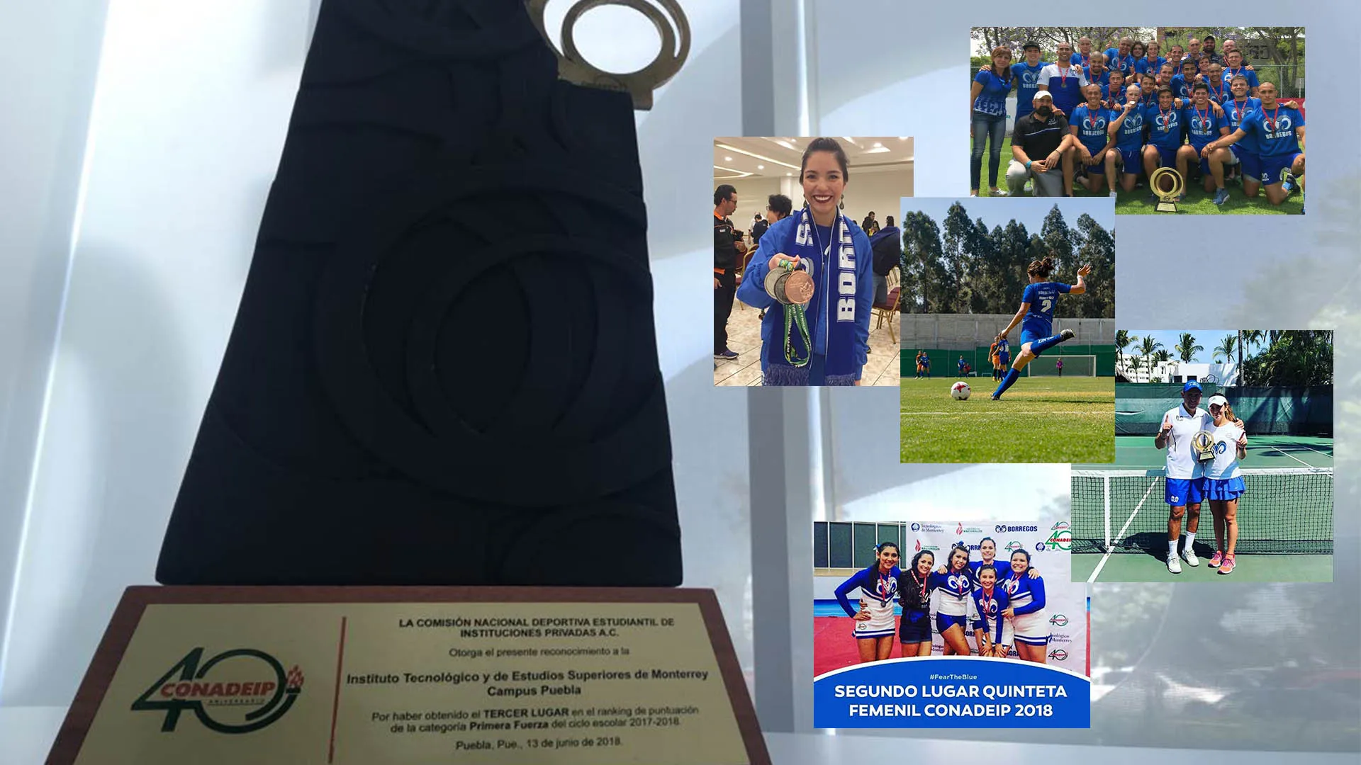 Gracias a su trabajo siguen en los primeros lugares