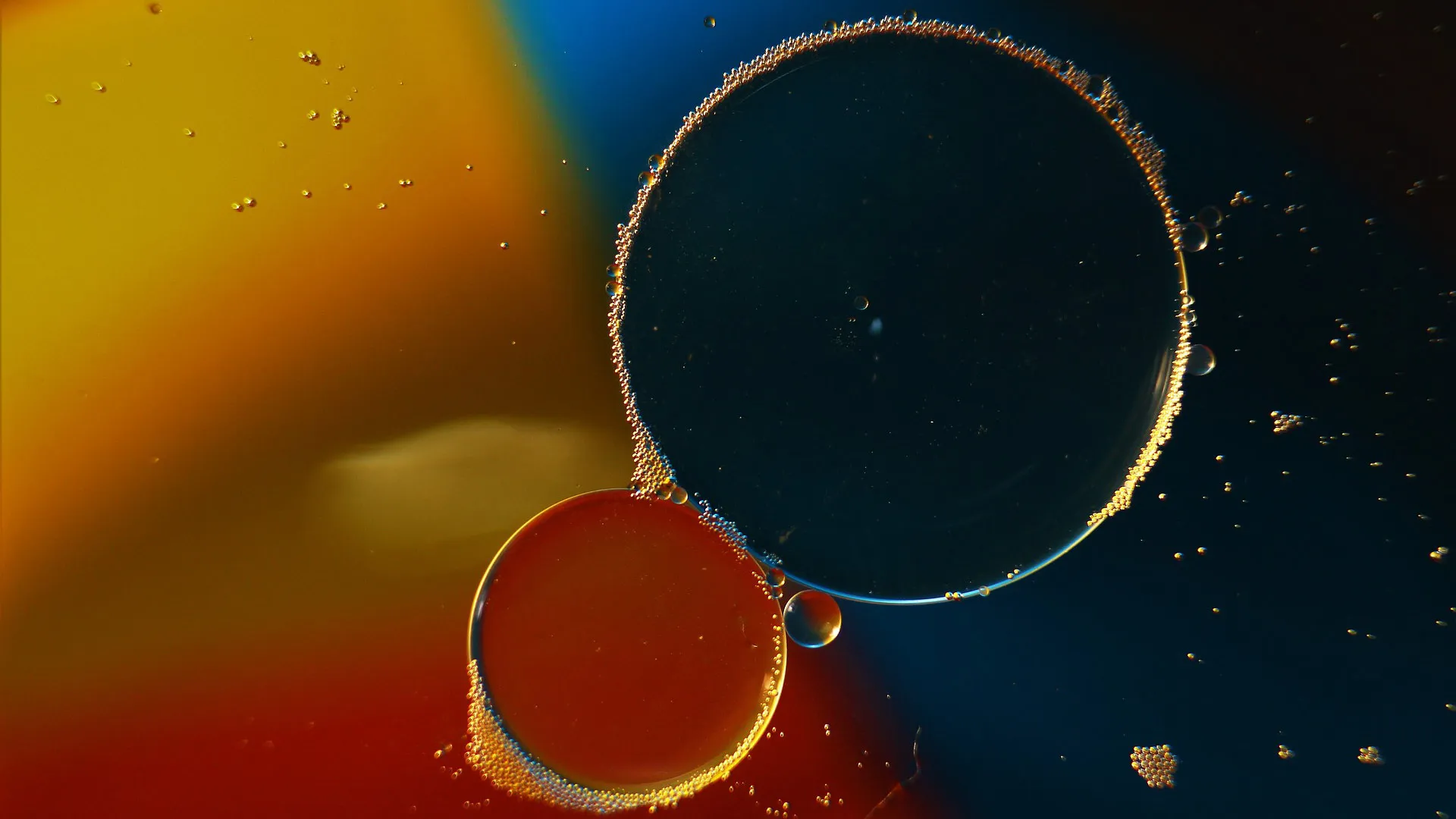 Buscan mitigar contaminación en agua con memoria biológica