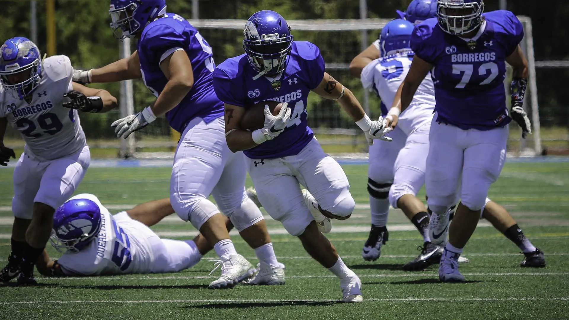 Los Borregos Puebla ensayan constantemente para mejorar en la ofensiva.