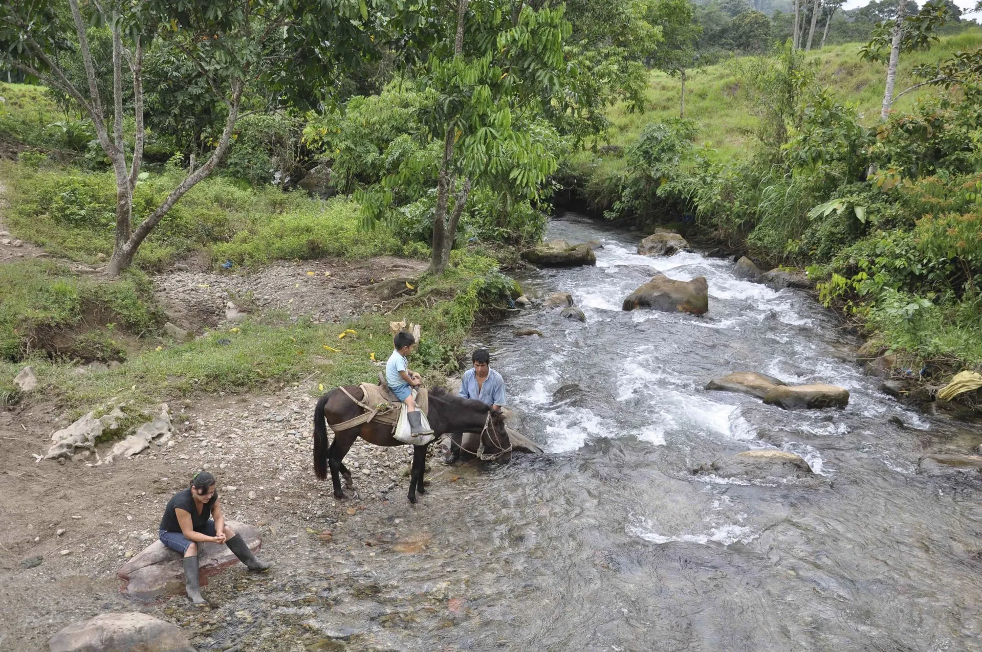 Cuenca de Alto Mayo NED Tec