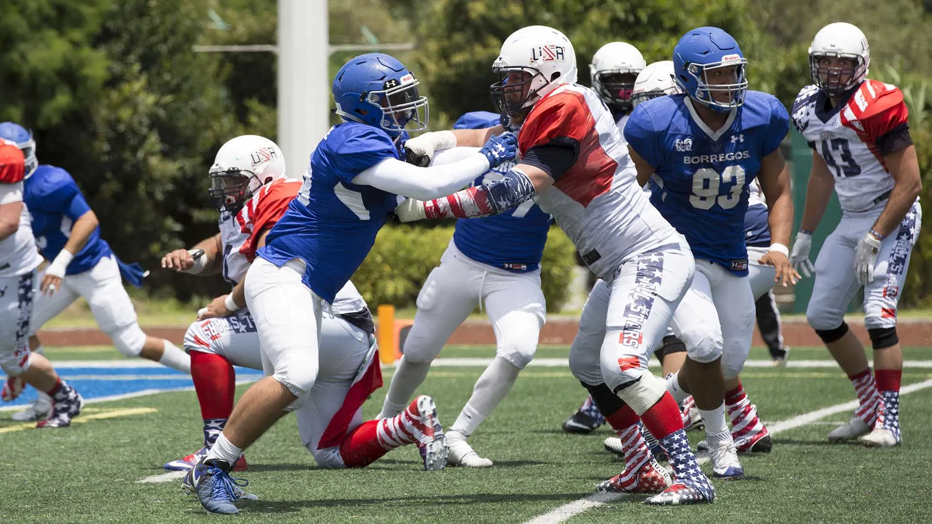 Los Borregos Puebla  cerraron sus juegos de pretemporada con victoria sobre un combinado norteamericano de veteranos