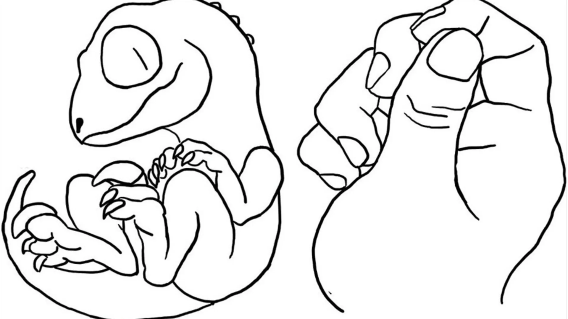 Reto emprendedor autismo