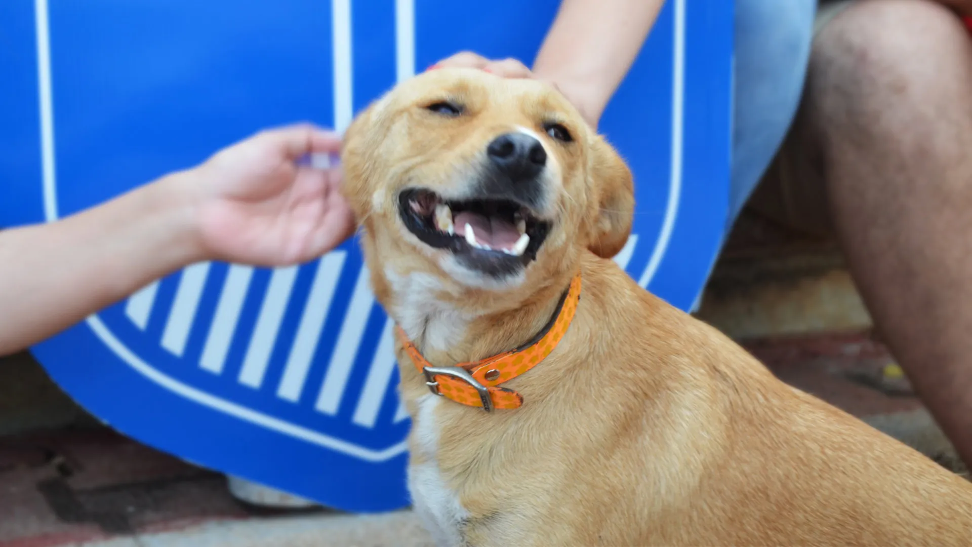 De la calle al Tec, conoce la historia de Canela