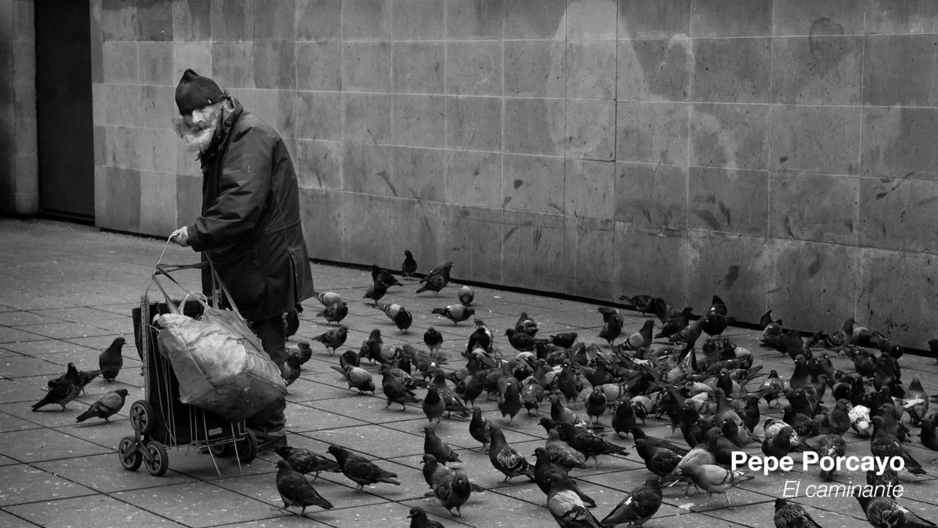 Profesor gana premio de fotografía y representará a México en mundial