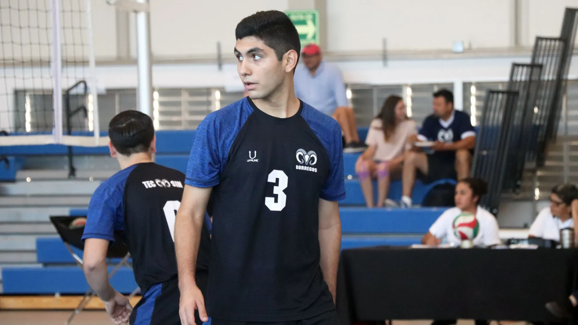  Doble faceta: Triunfan en música y deportes