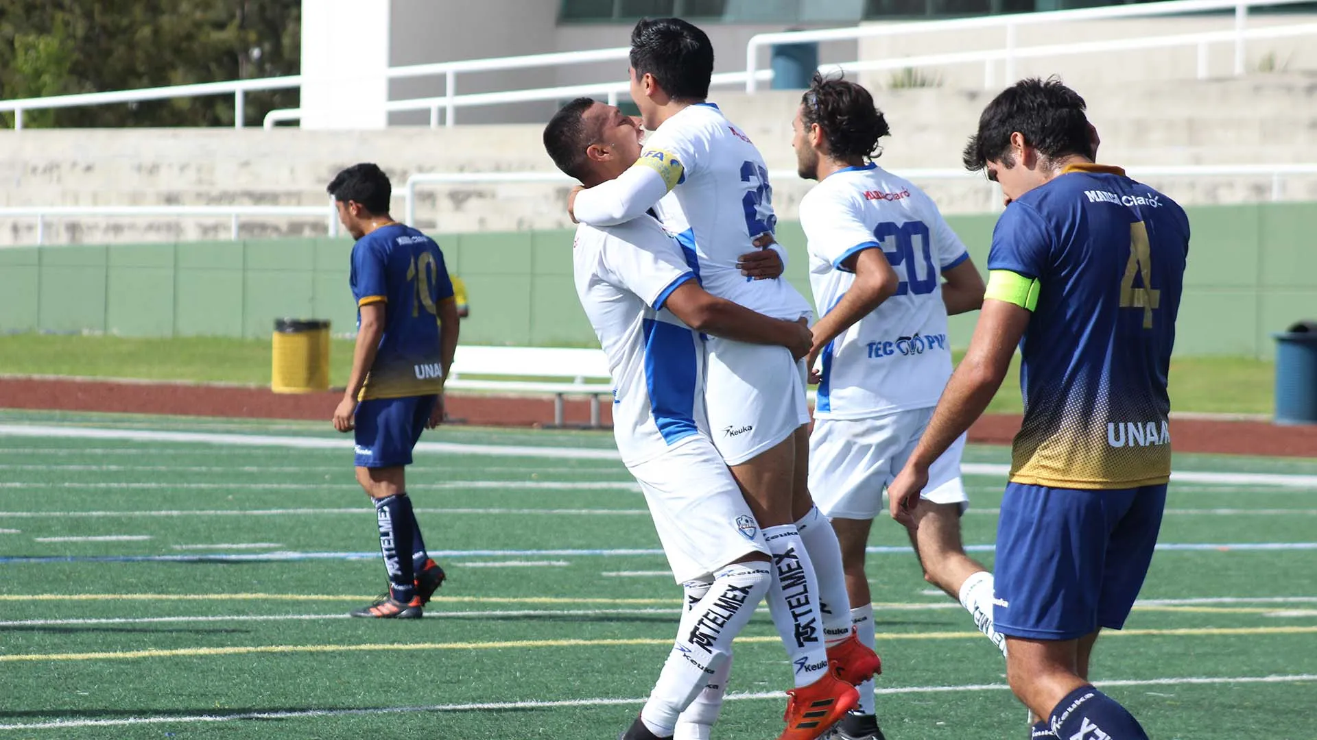 Son dos victorias conseguidas hasta el momento por los Borregos Puebla en el CUTT