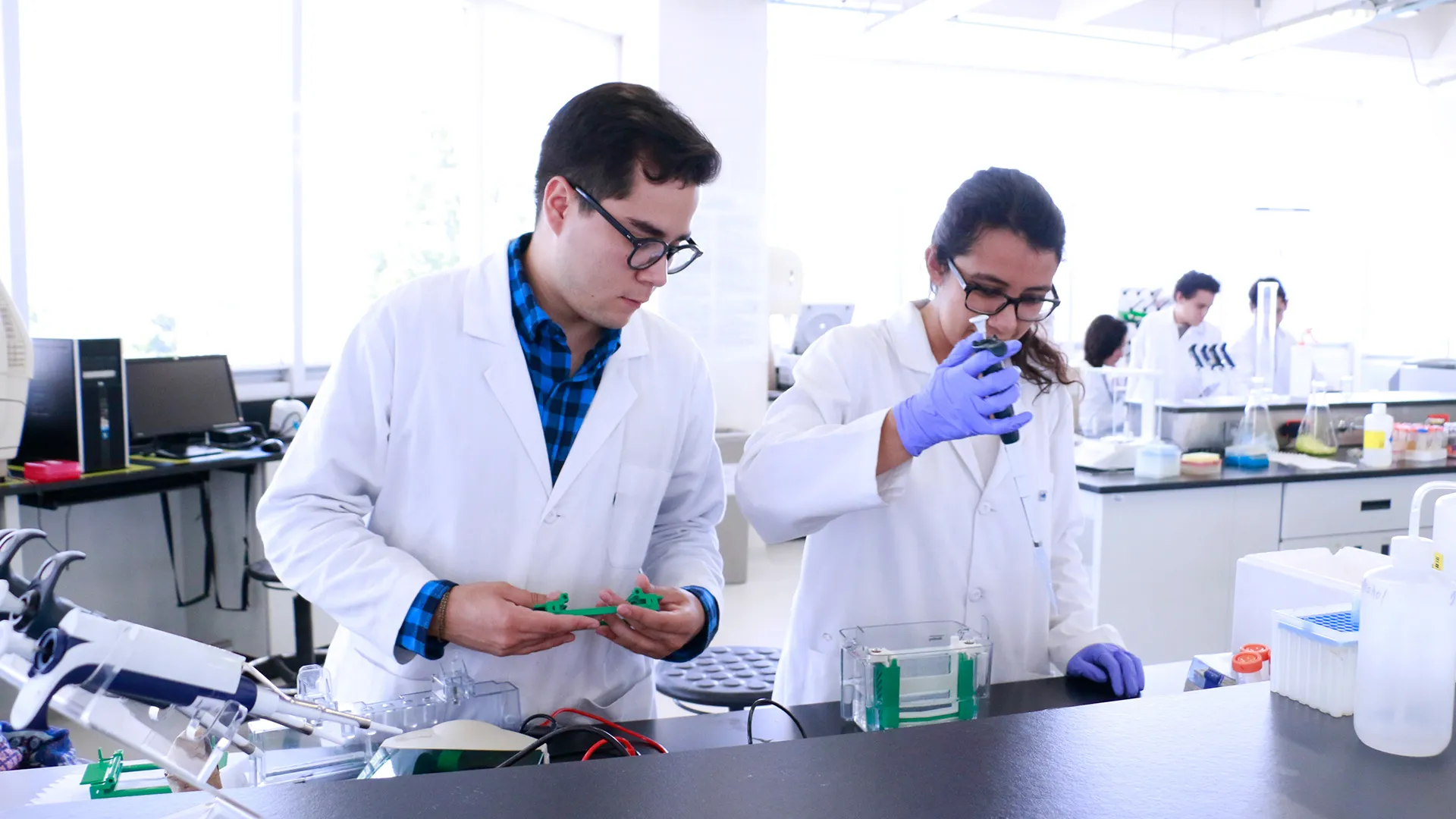 Alumnos de iGEM campus Estado de México