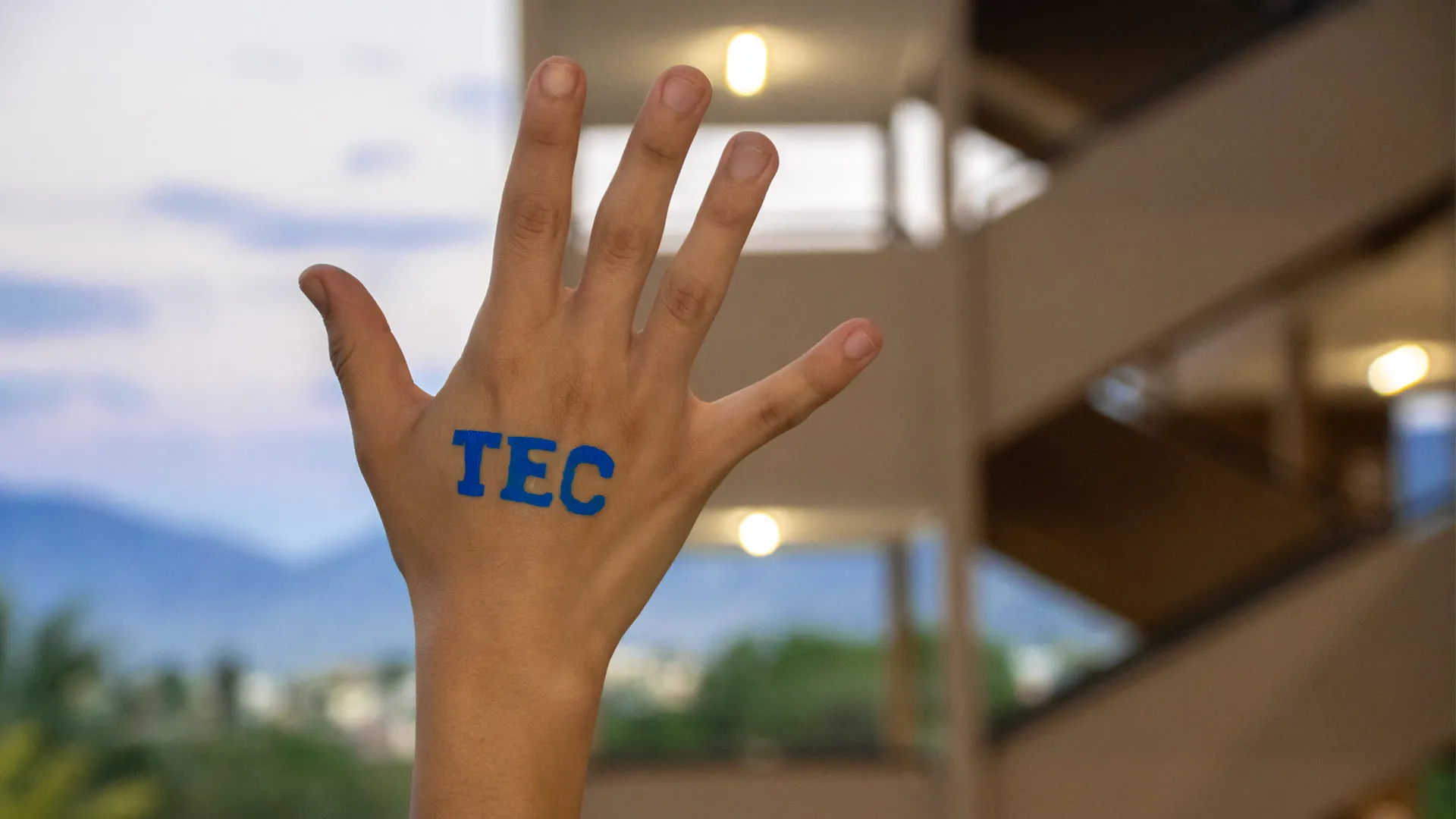 Programas Internacionales