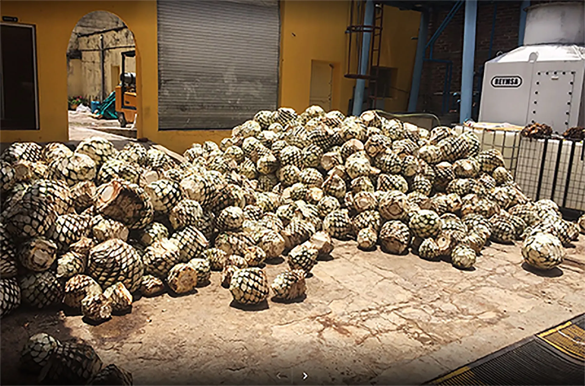 Los alumnos aprendieron el proceso que conlleva la producción del mezcal zacatecano.