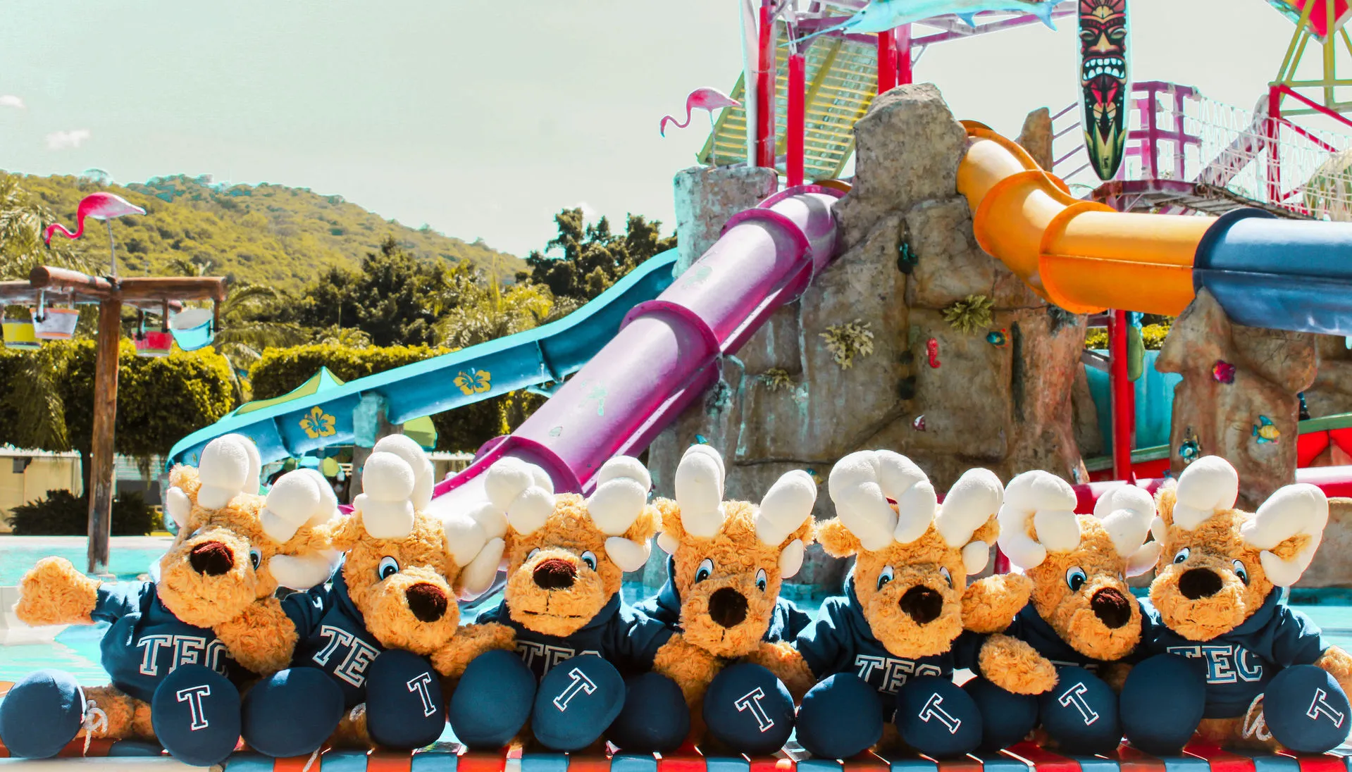 Alumnos de 5to semestre Salvan al Borrego Bryan en la semana de tópicos.