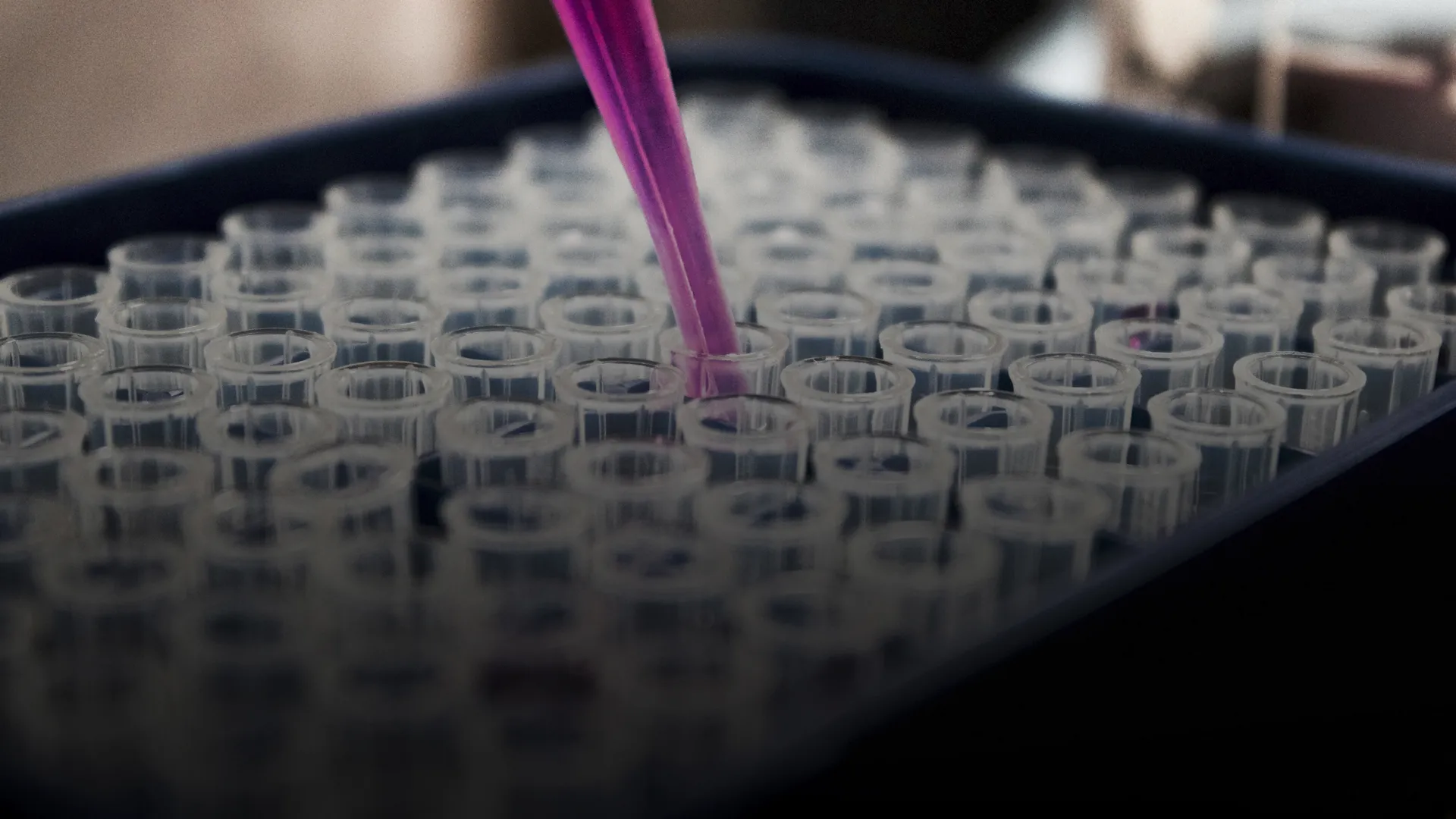 Crea materiales ecológicos y es reconocido por MIT Technology Review