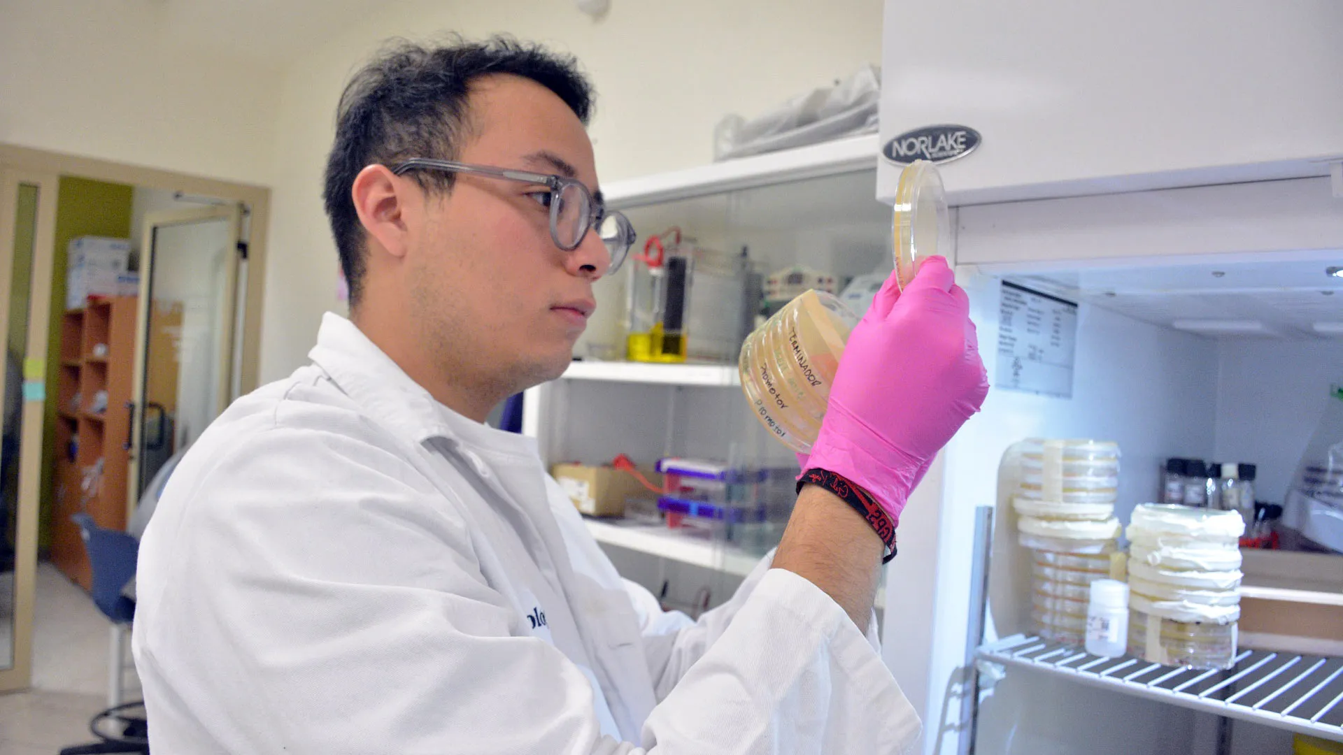 Mexicano de 21 años irá a Harvard para investigación con células madre