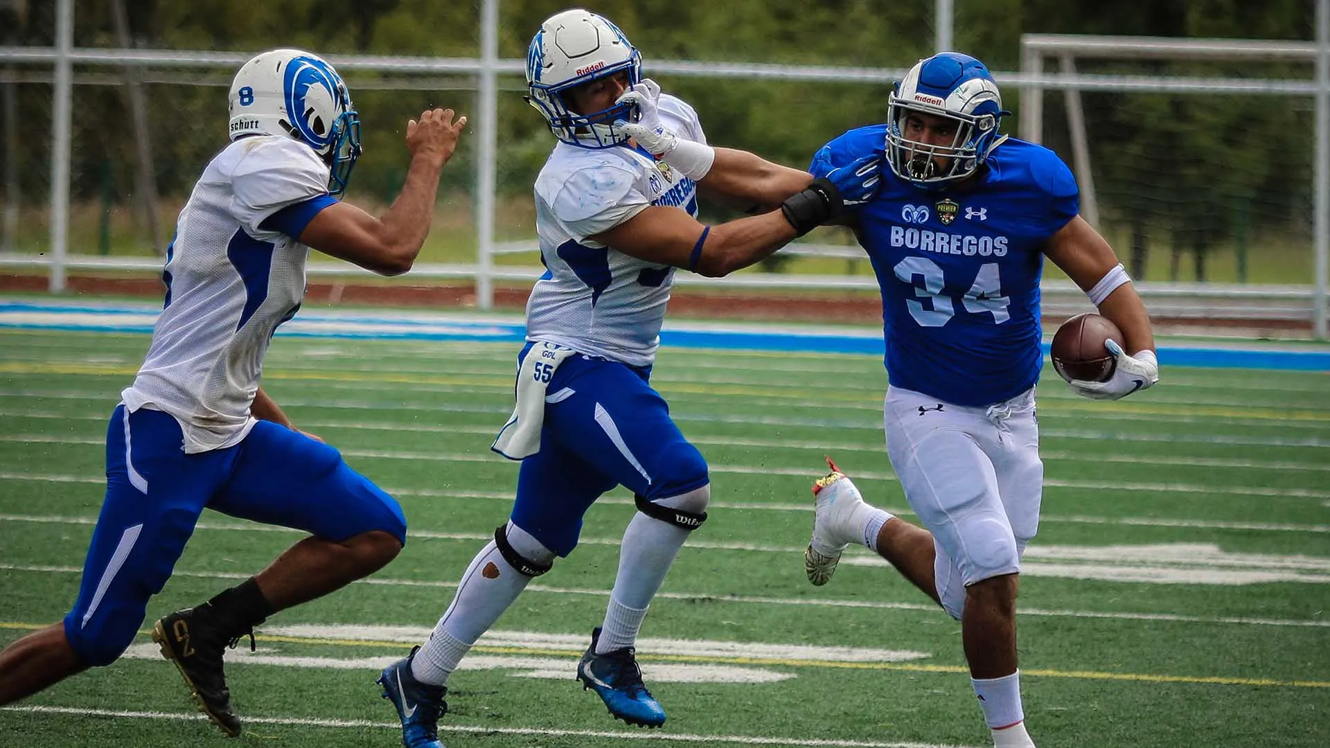 Los Borregos Puebla matemáticamente cuenta con aspiraciones de llegar a postemporada.