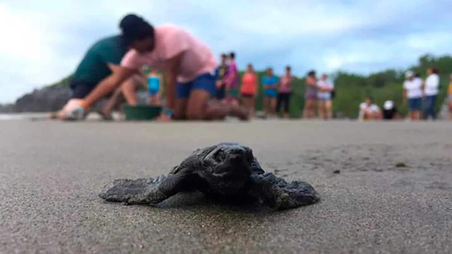 Tres estudiantes del Tec de Monterrey son reconocidas en el Programa de Voluntariado Hombro con Hombro