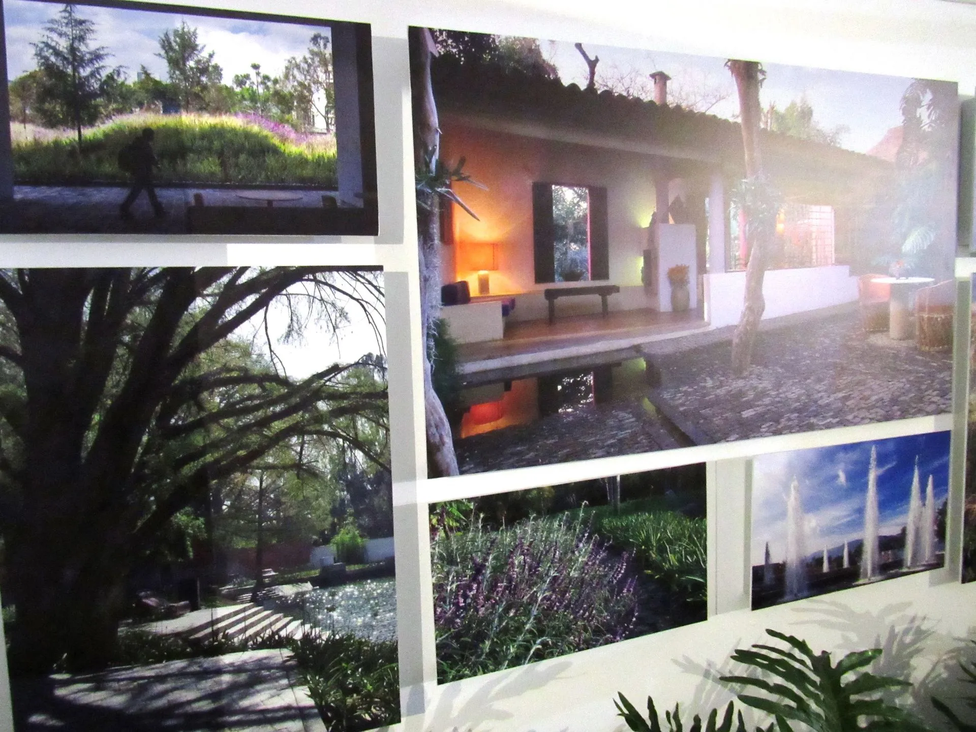 Conciliar Ciudad y Naturaleza