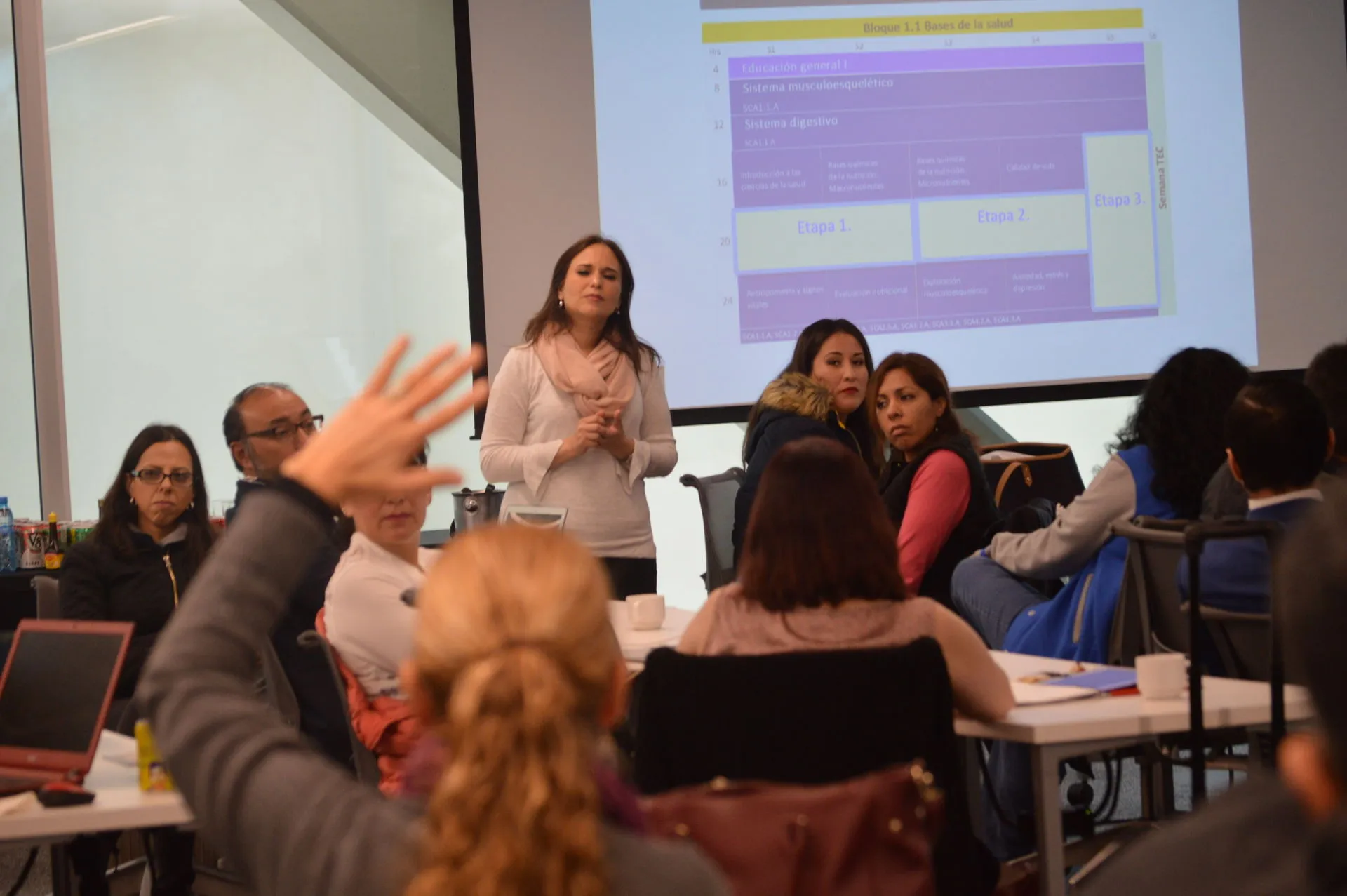 Taller de Transferencia de Unidades de Formación