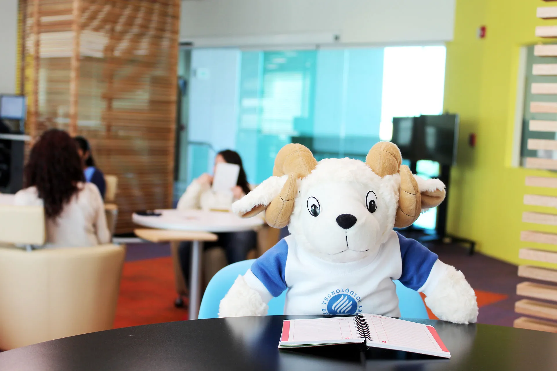 Evaristo listo para el regreso a clases