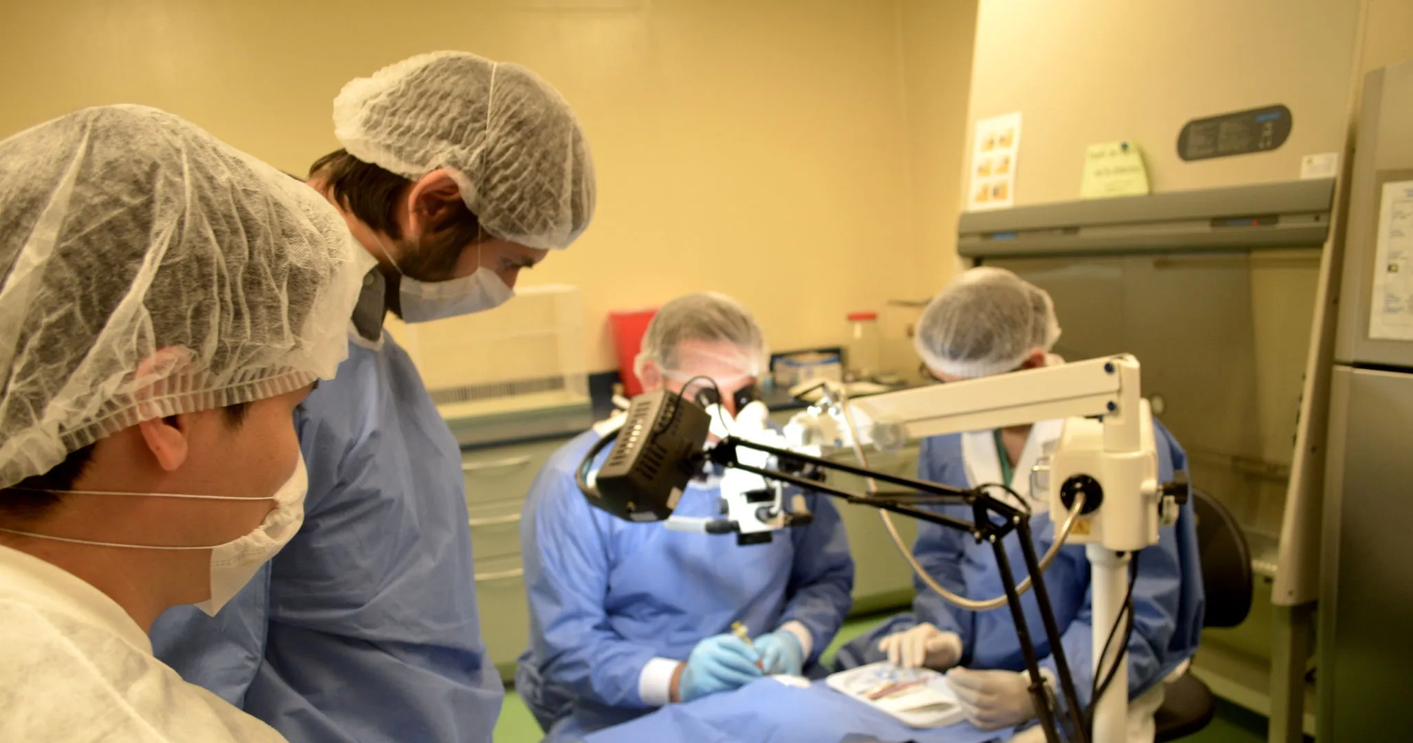 Director de Grupo de Investigación asume Presidencia de ARVO México 