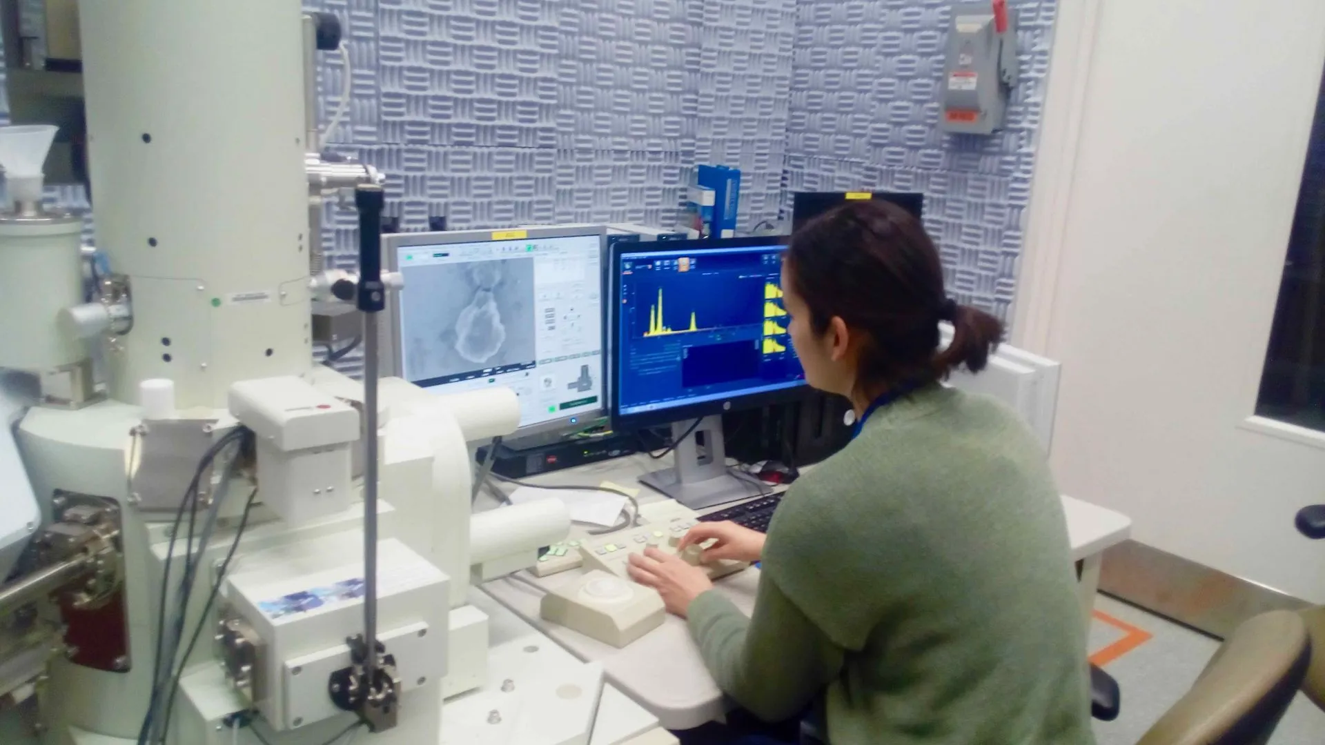 Investigadora EIC en Brookhaven