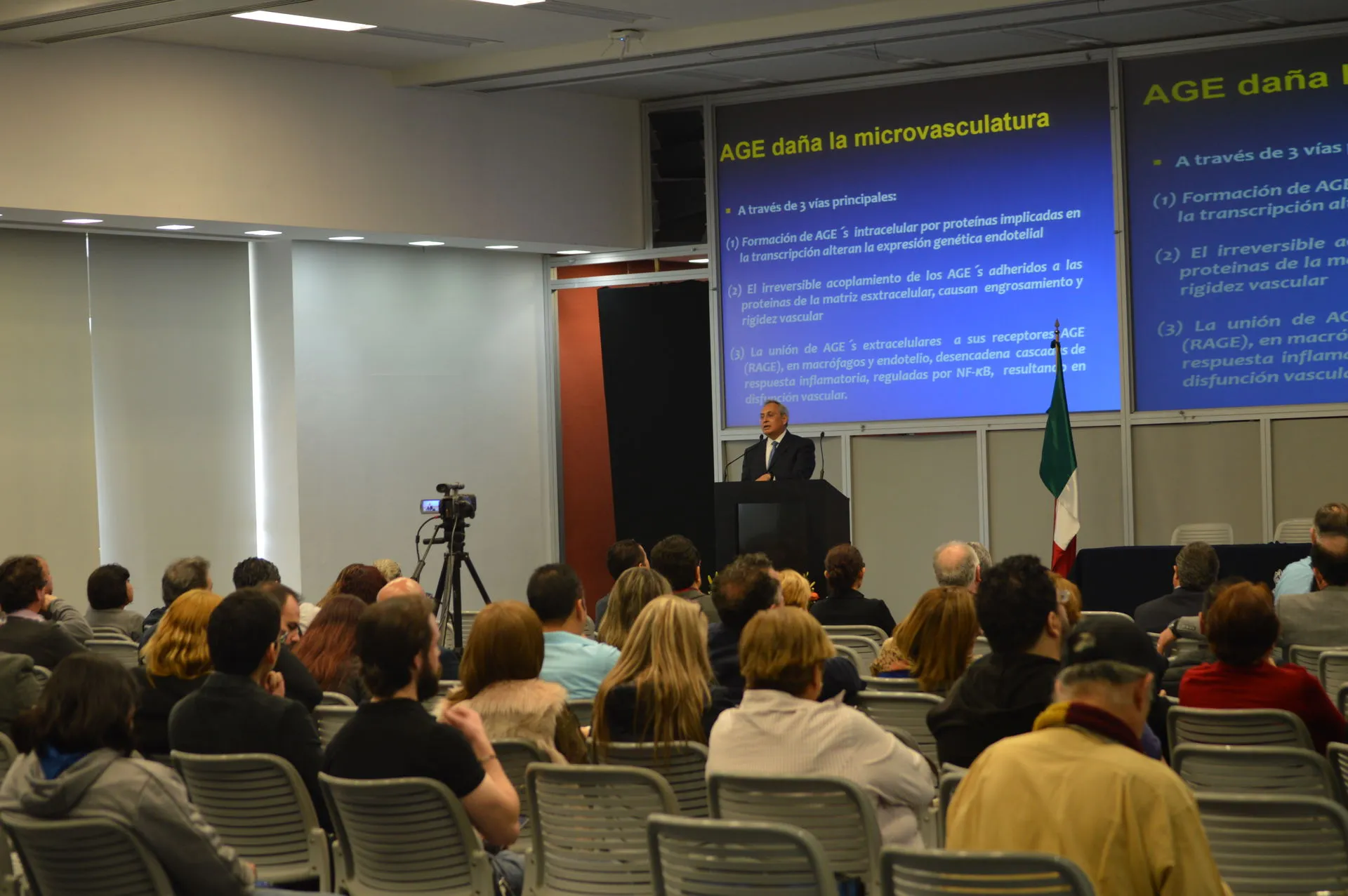 El sistema Cardiovascular y Renal en la Diabetes Tipo 2