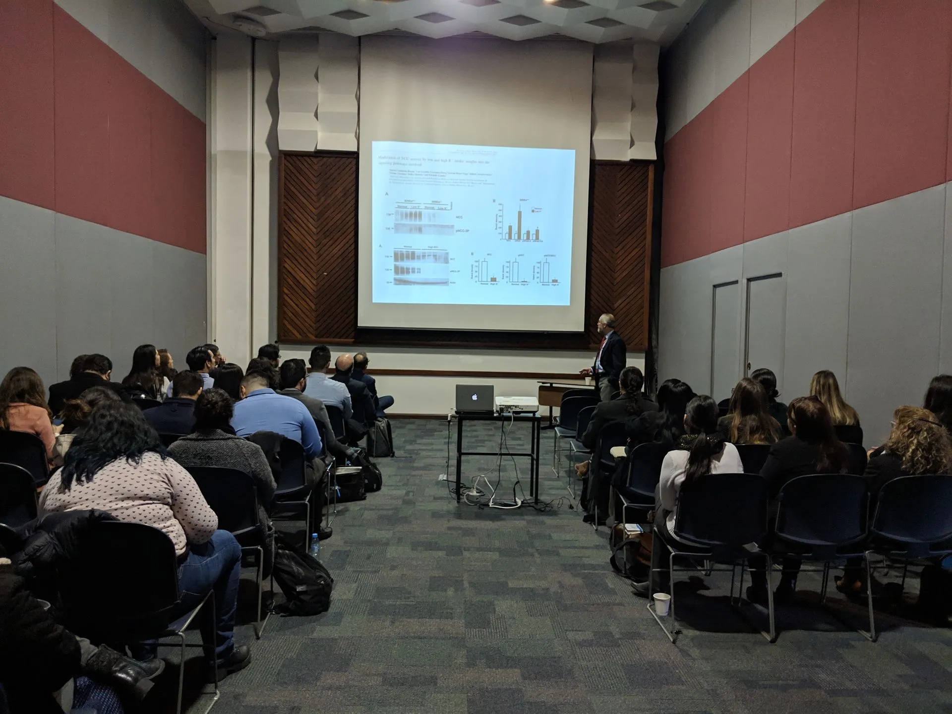 Especialistas y líderes médicos de la Escuela de Medicina y Ciencias de la Salud 