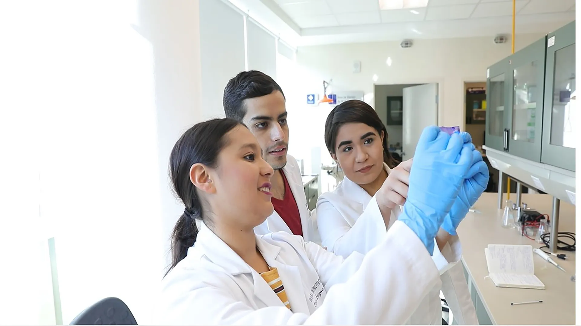 Proyecto Lactobachill