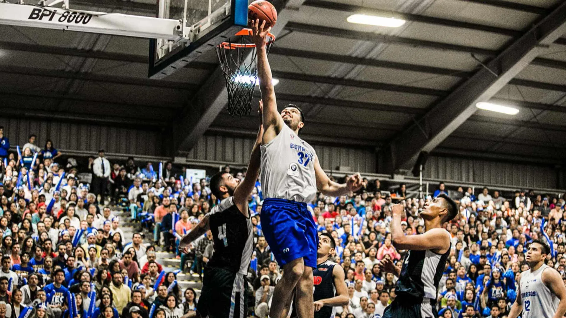 Estas son las estrellas del basquetbol colegial en México