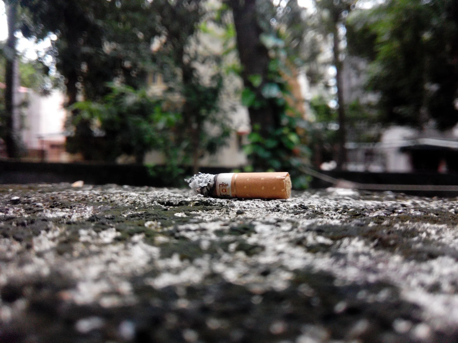 Día Mundial sin Tabaco Tabaquismo Fumar Cigarro
