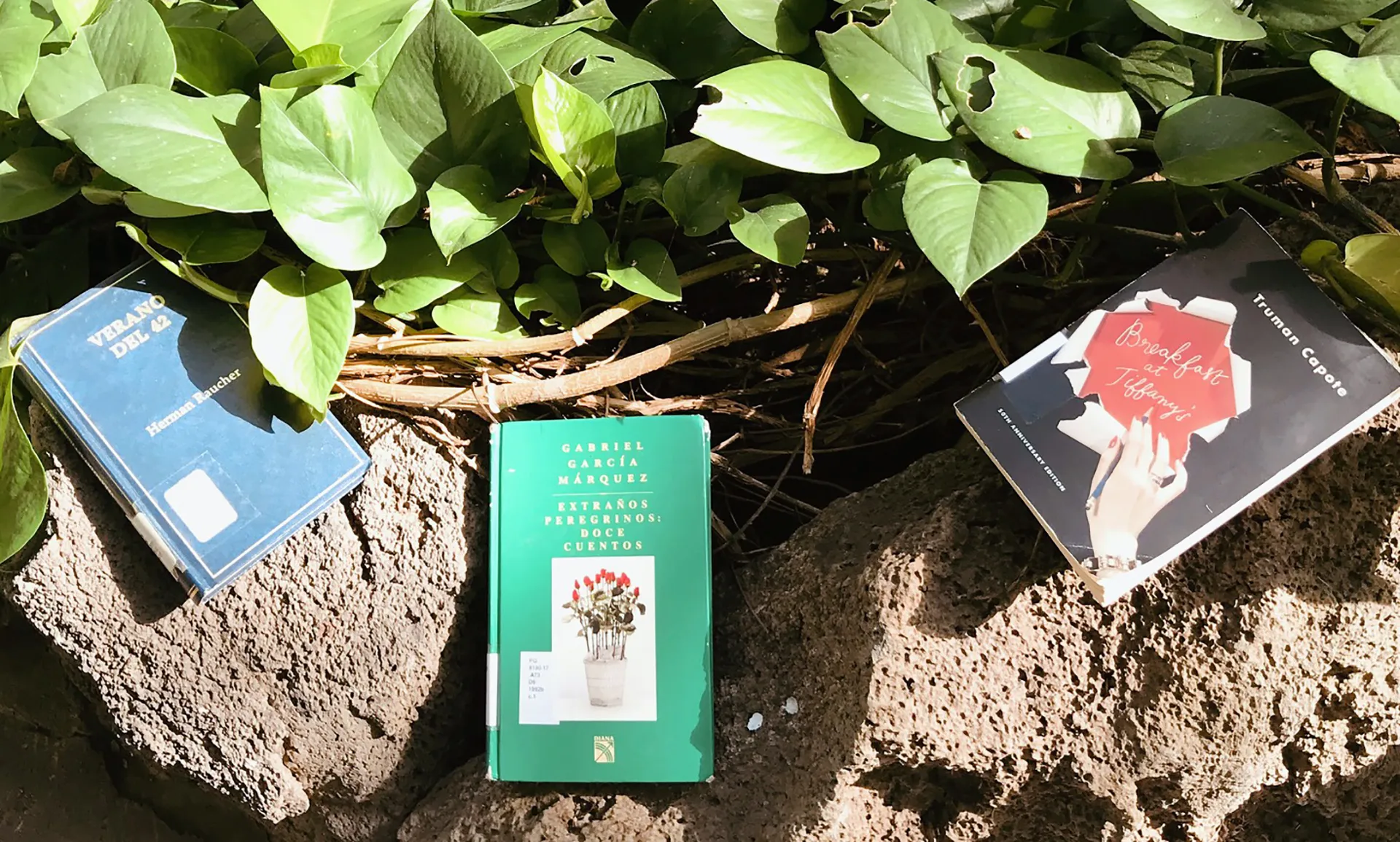 3 lecturas para leer en verano