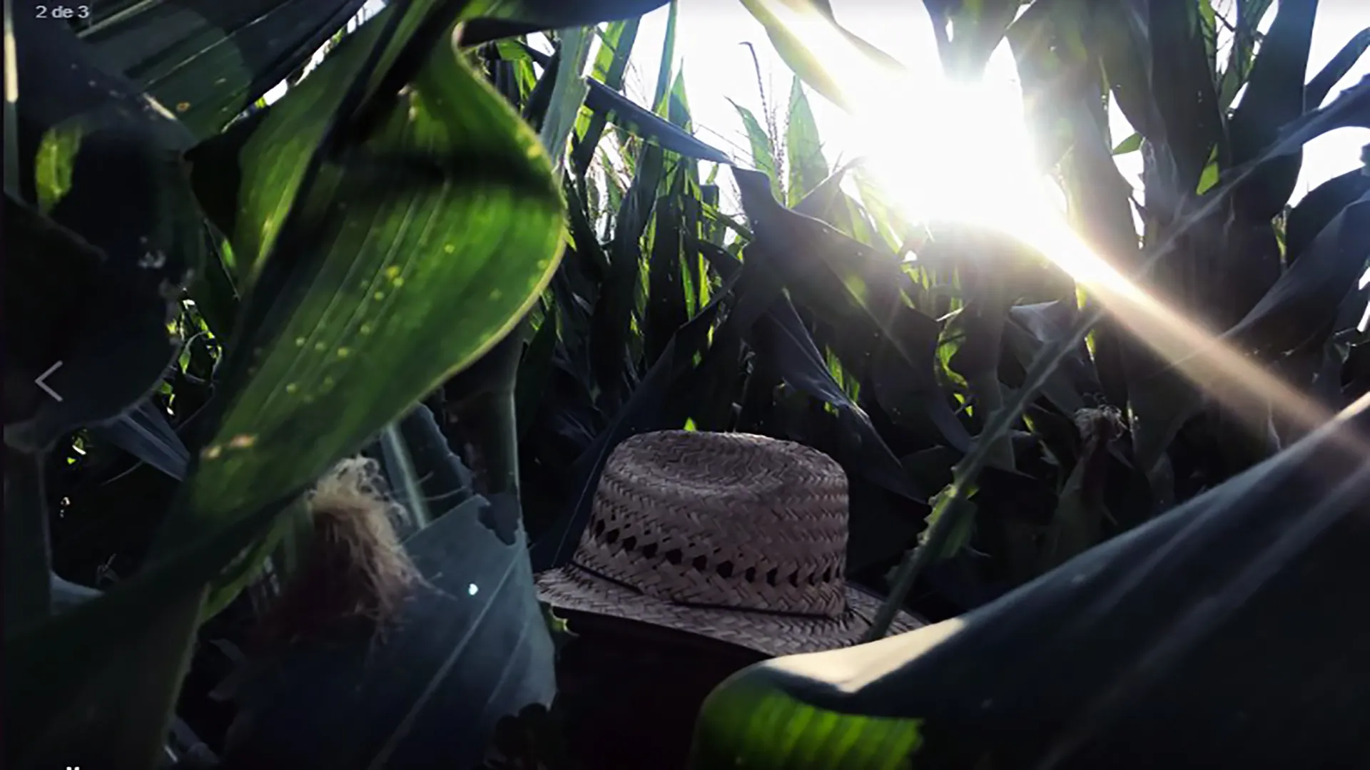 mprendimiento social TerraKer logró el tercer lugar del certamen nacional de la organización ENACTUS.