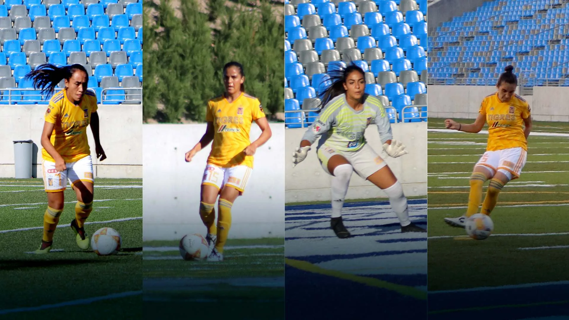 Reconoce Tec a ex Borregas campeonas de la Liga MX Femenil