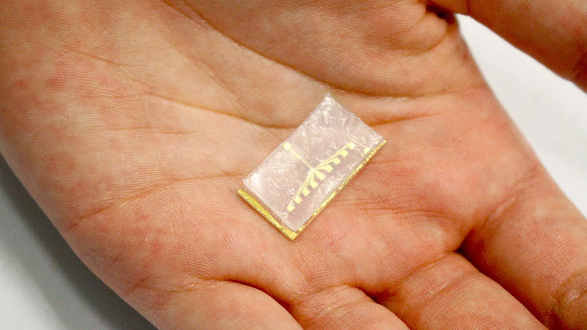 Un chip que detecte el cáncer, la apuesta de este estudiante mexicano