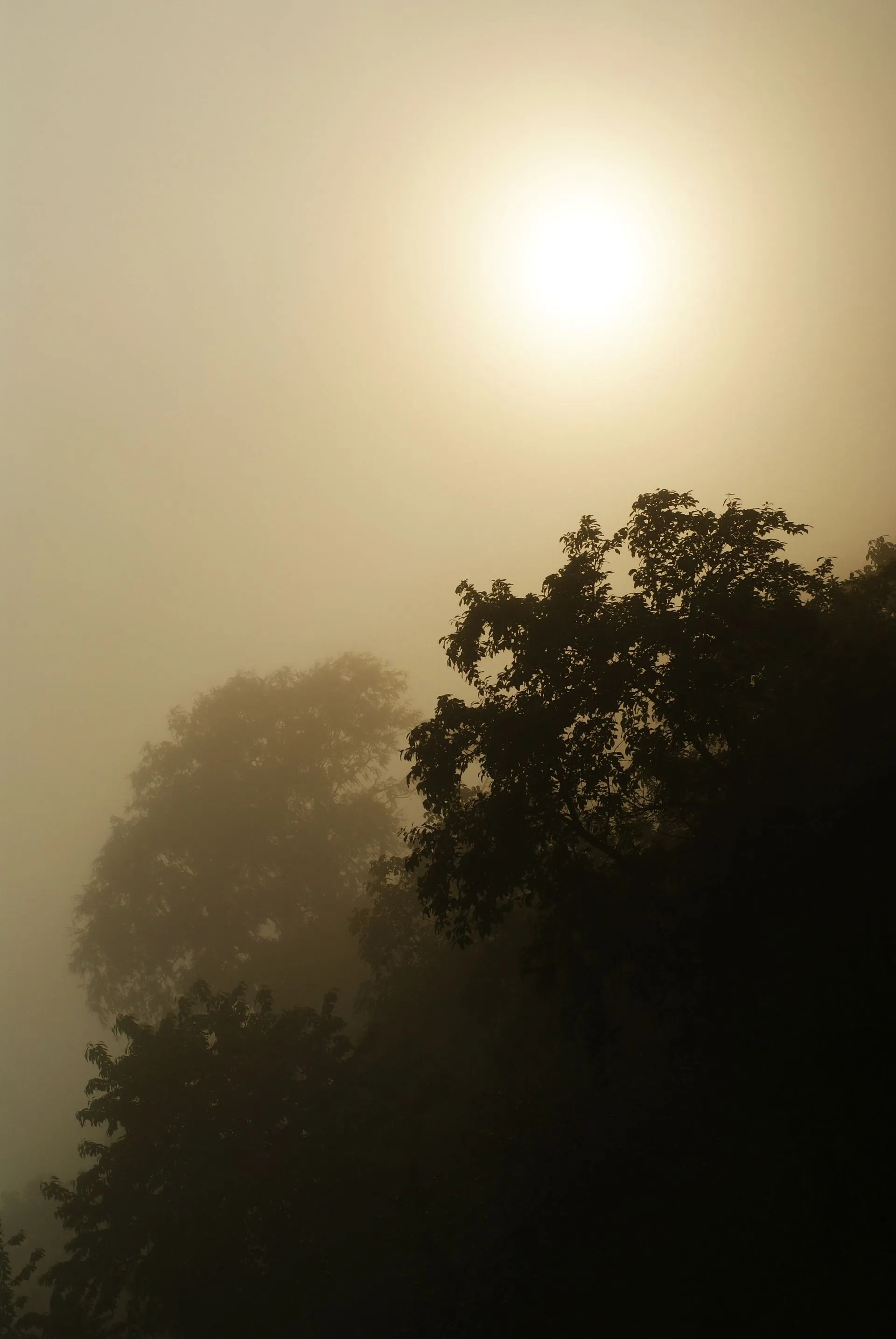 Contaminación atmosférica