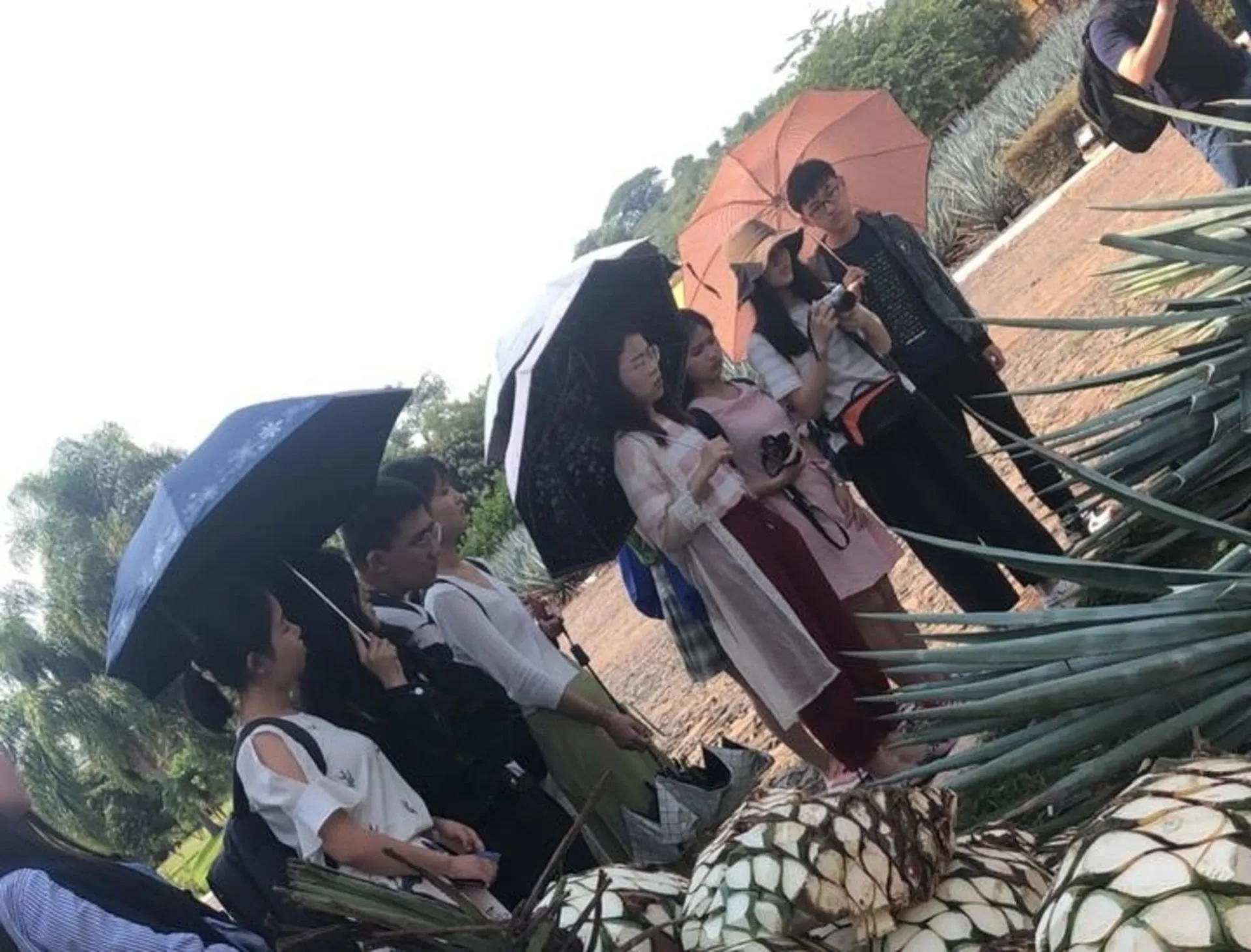 Universidad de Fudán