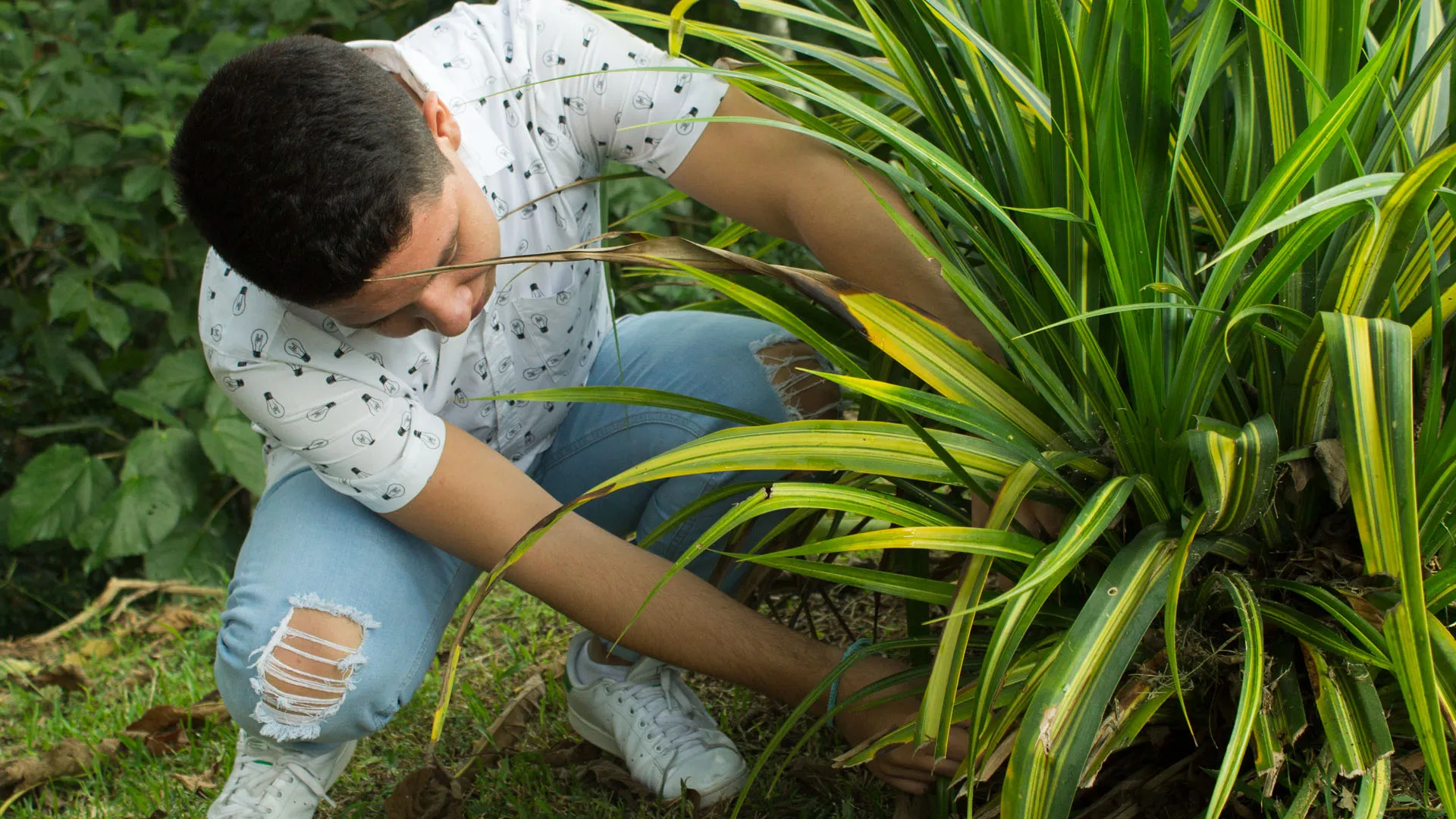 Campaña que ayudó a Fredi