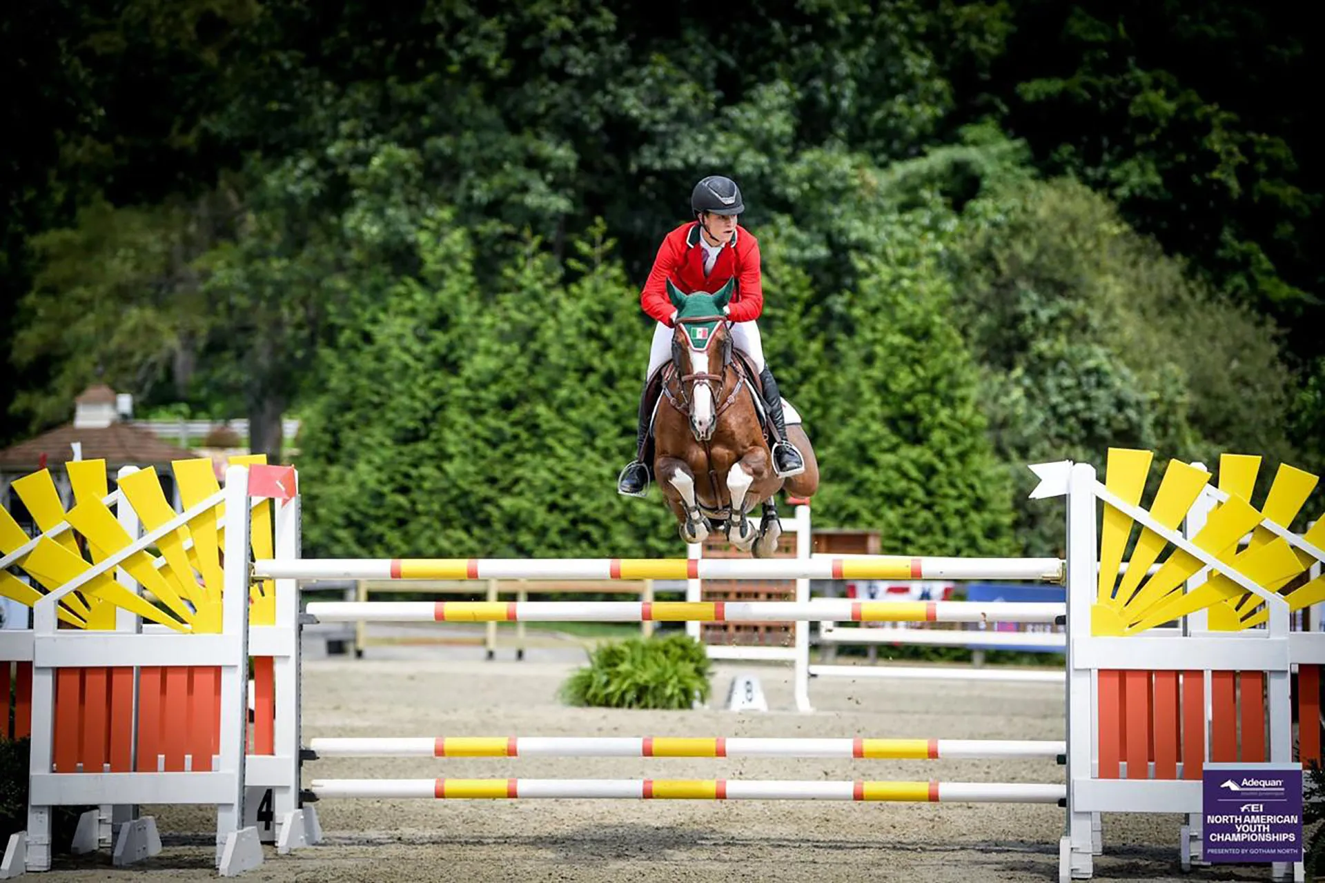 Joven de PrepaTec al mundial de Equitación