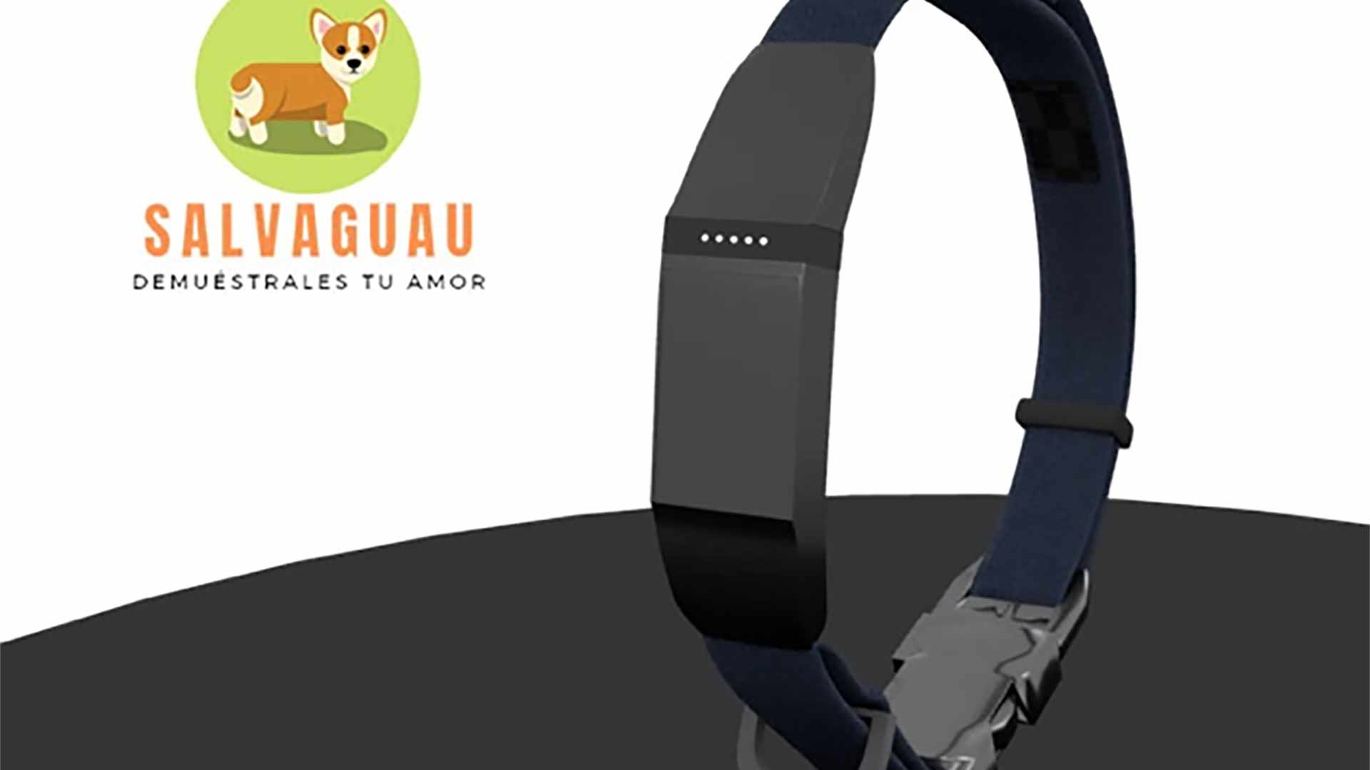 ¡Guau! Un collar que puede salvar la vida de tu mascota
